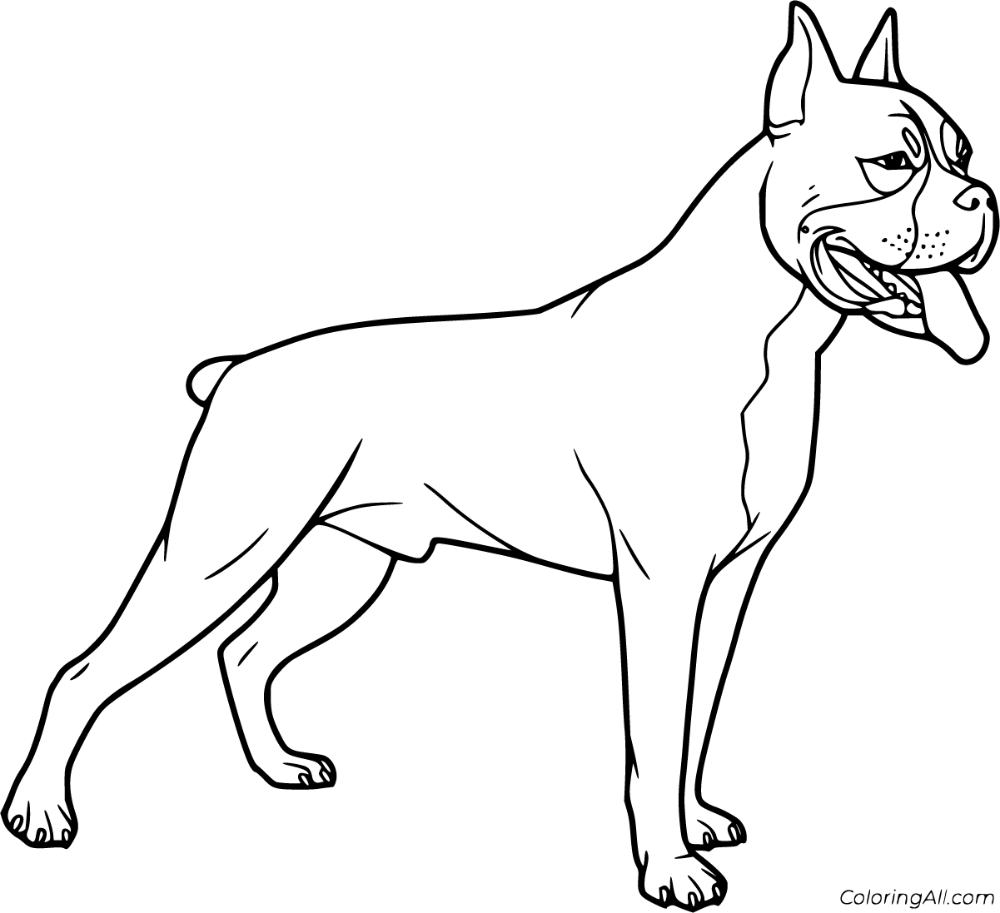 12 Free Printable Boxer Dog Coloring Pages