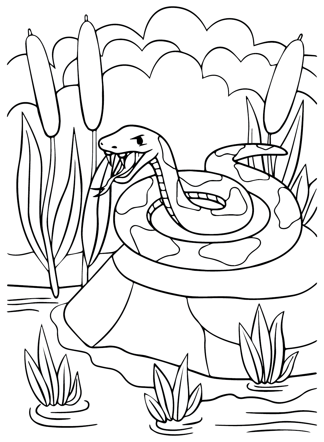 23 Anaconda Coloring Pages ColoringPagesOnly