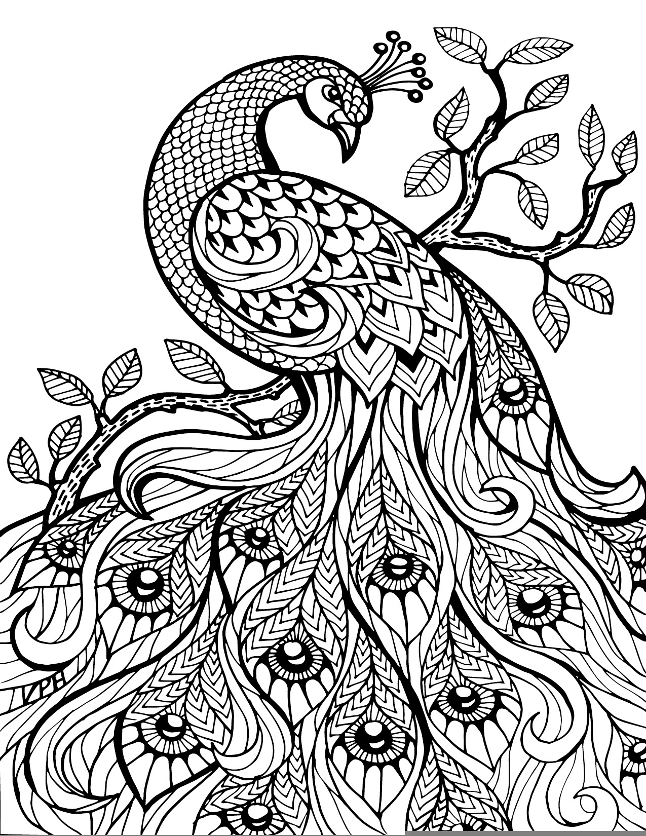 Pdf Adult Coloring Pages