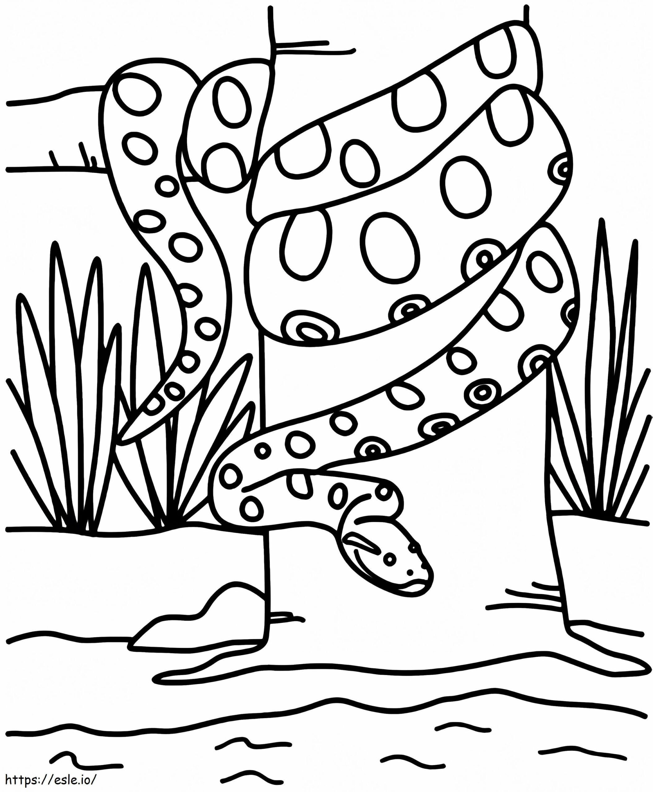 Anaconda Printable Coloring Page