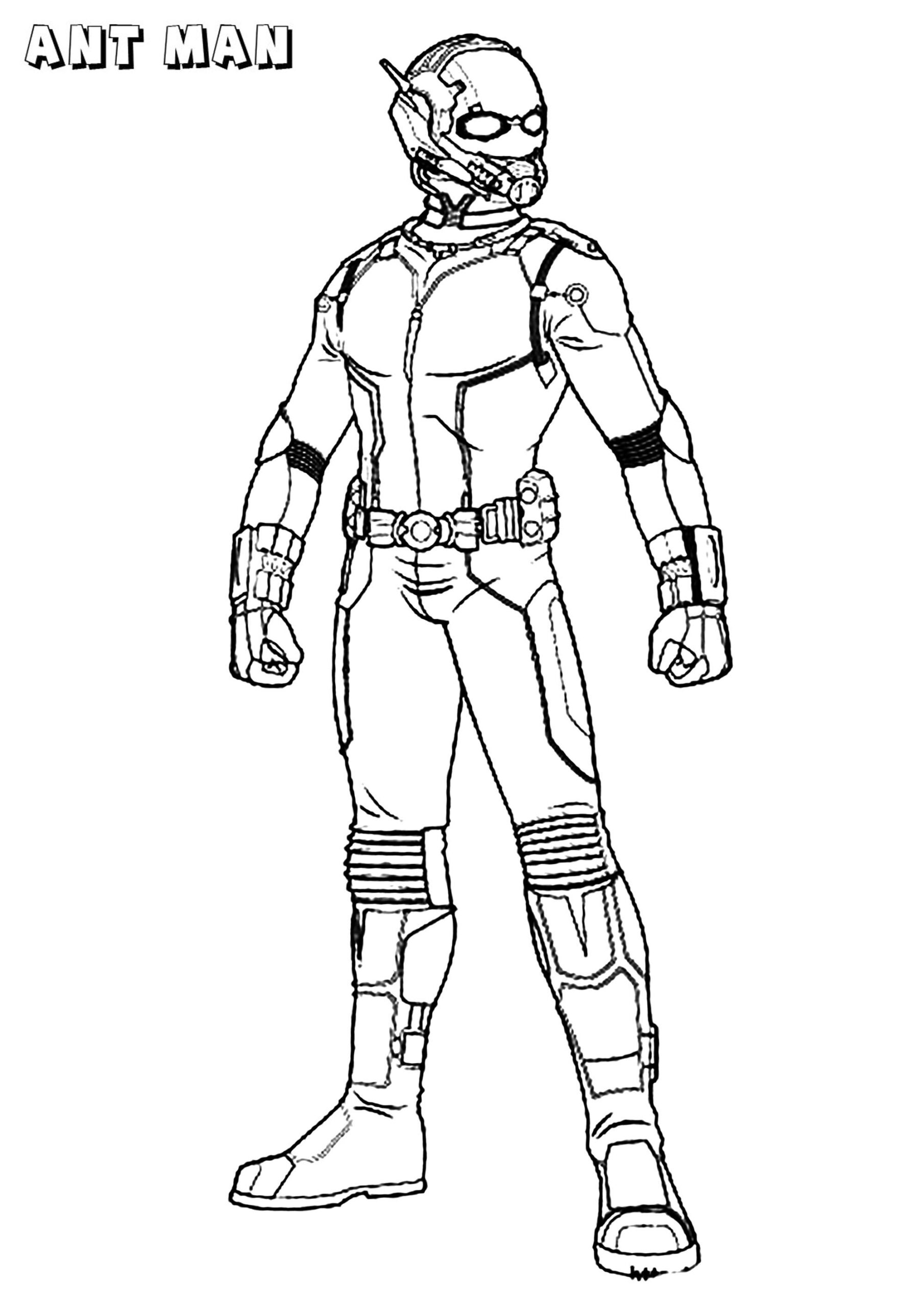 Ant Man Ant Man Coloring Pages For Kids