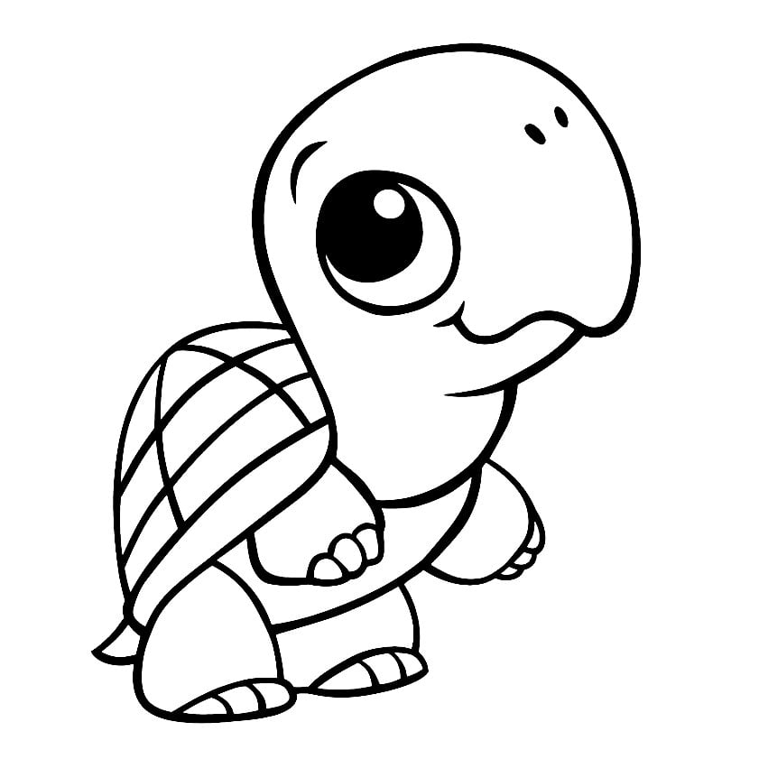 Baby Turtle Coloring Page Free Printable Pages Sketch Coloring Page