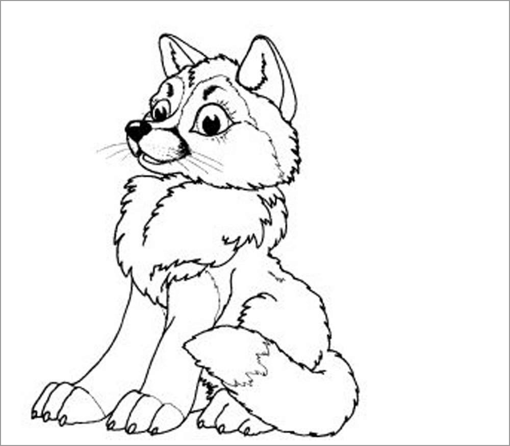Baby Wolf Coloring Page For Kids ColoringBay