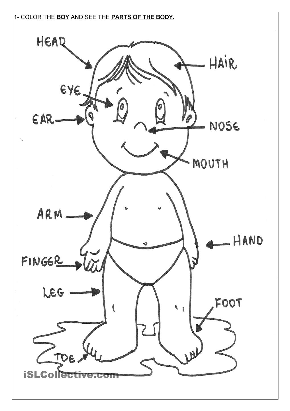 Body Parts Coloring Pages For Kids Coloring Home