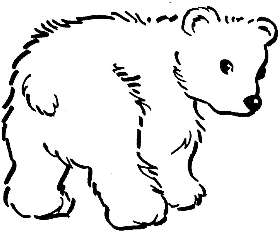 Brown Bear Coloring Pages Free Printable Coloring Pages For Kids
