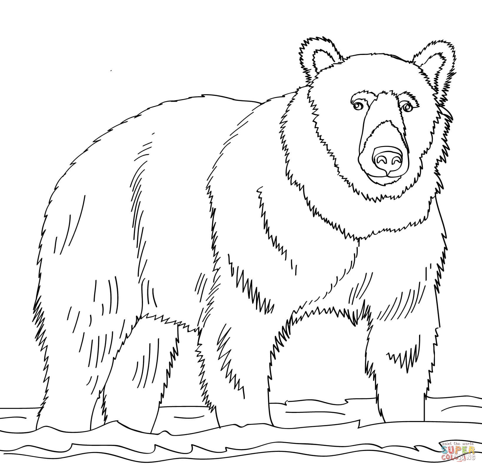 Brown Bear Printables Coloring Home