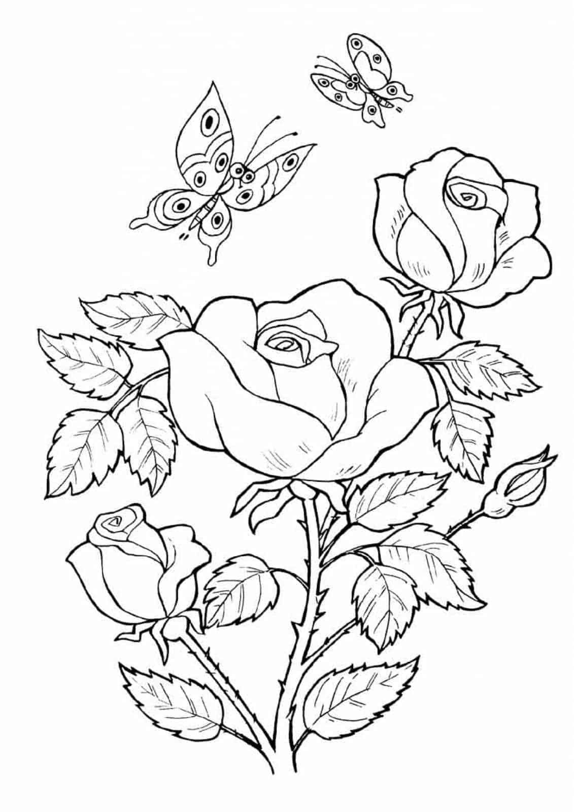 Butterfly And Flower Coloring Pages Flower Coloring Pages Rose Coloring Pages Butterfly