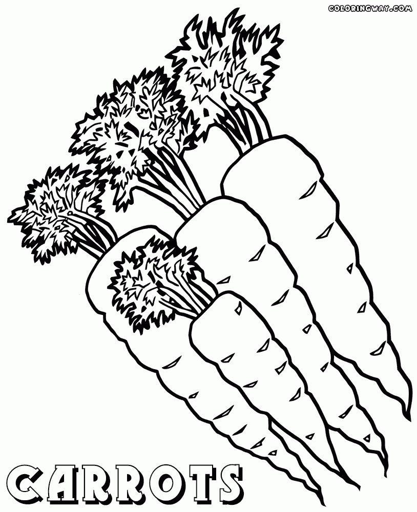 Carrot Coloring Page