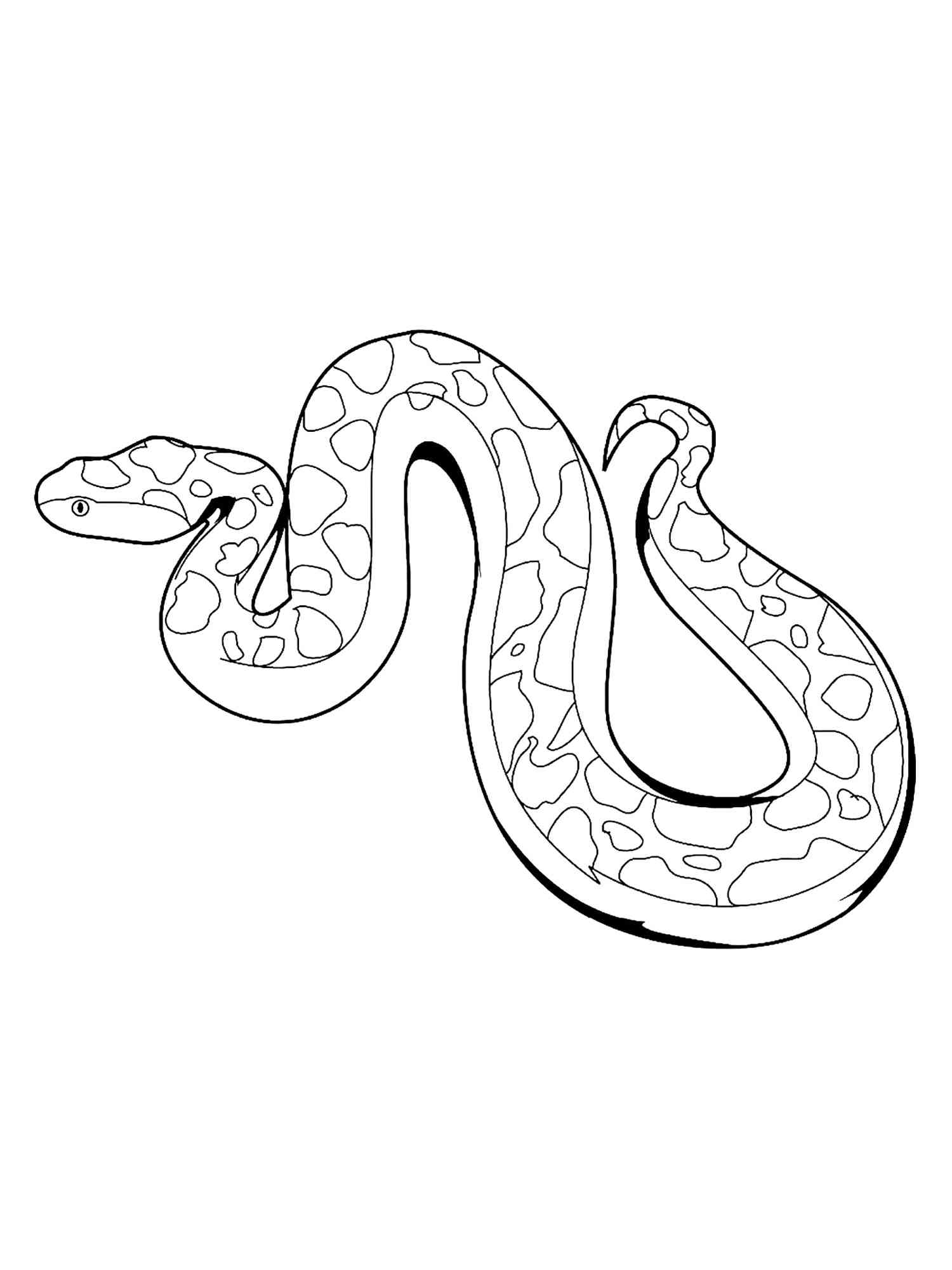 Cartoon Anaconda Coloring Page
