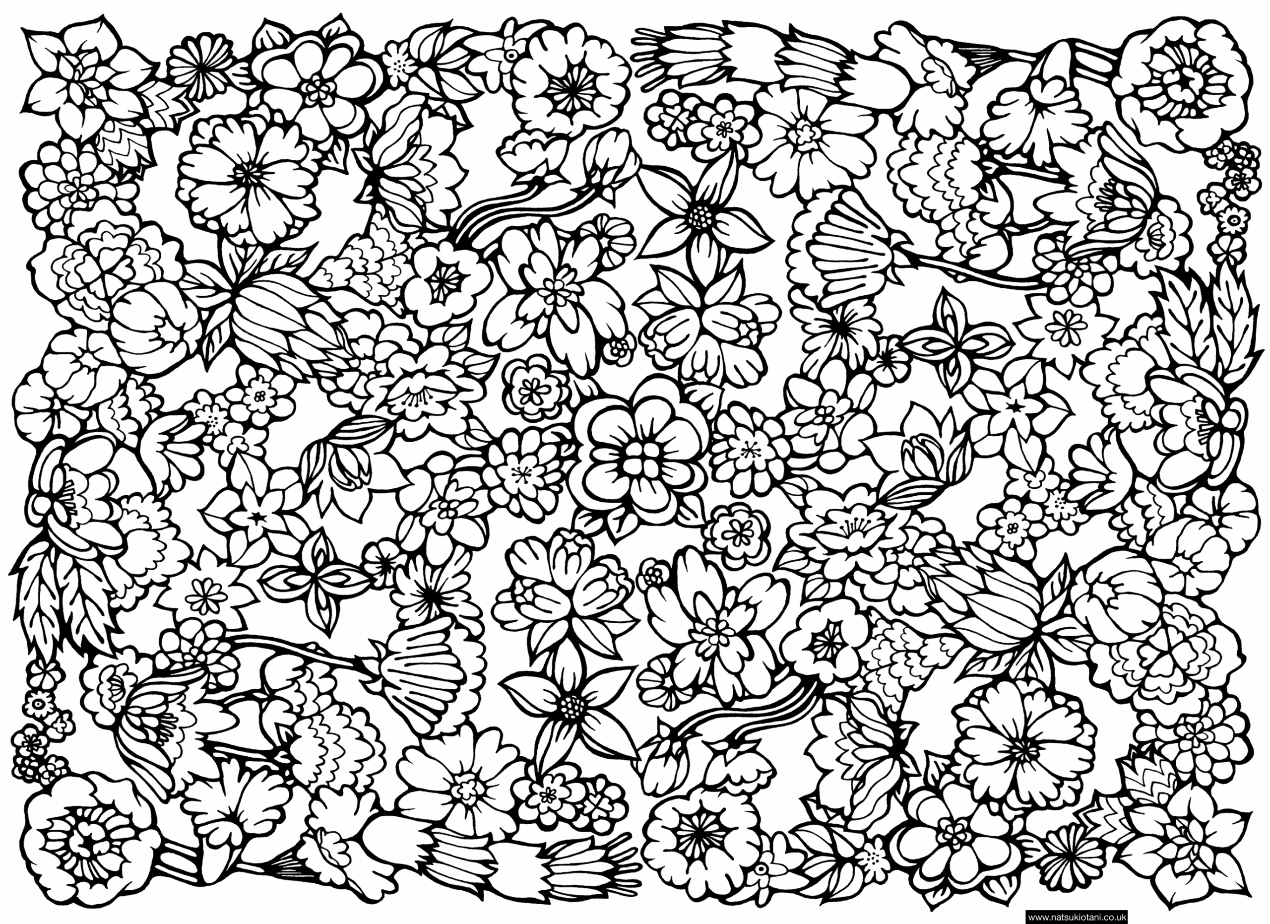 Coloring Pages Hard Designs Coloring Home