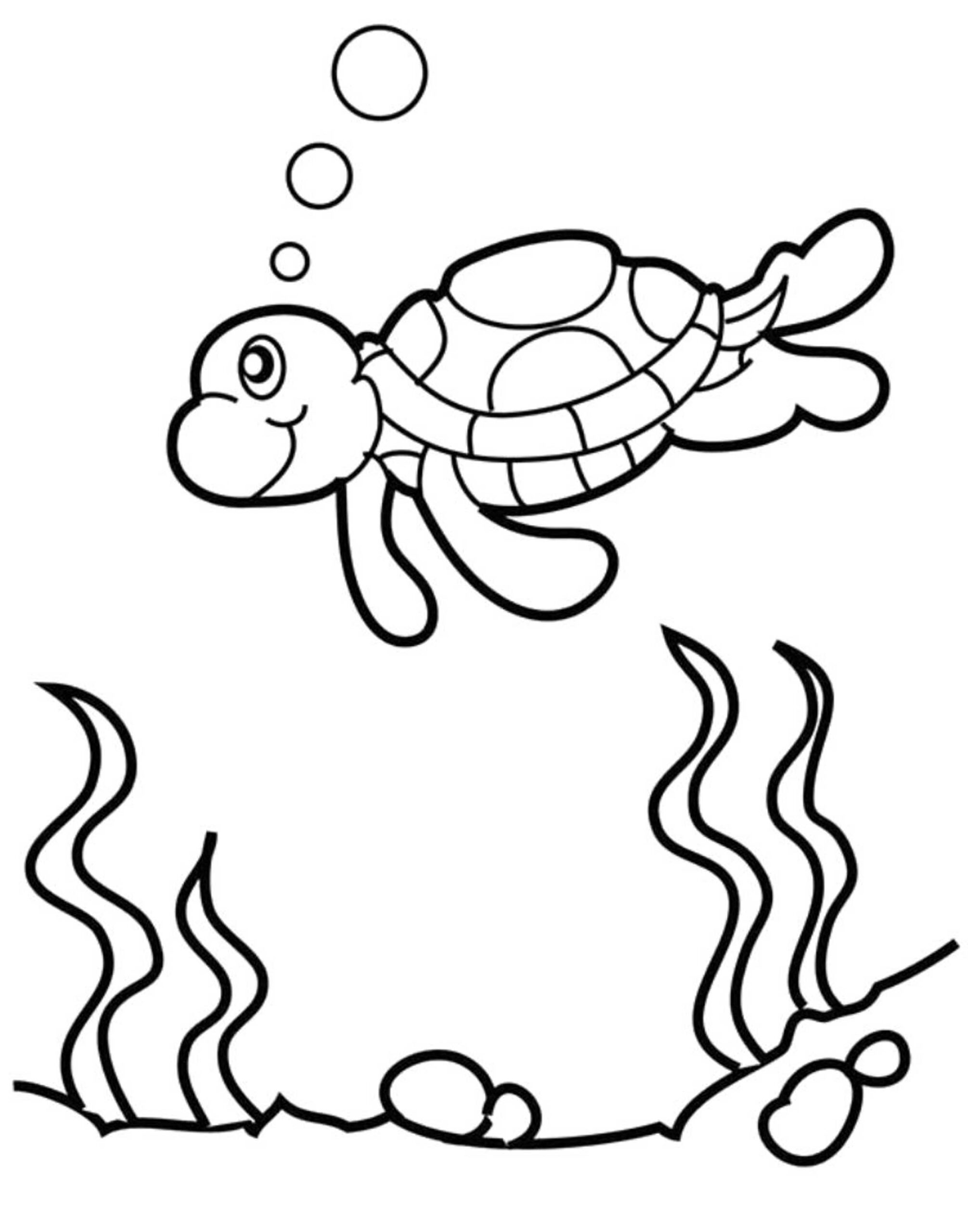 Cute Baby Turtle Coloring Pages BestAppsForKids
