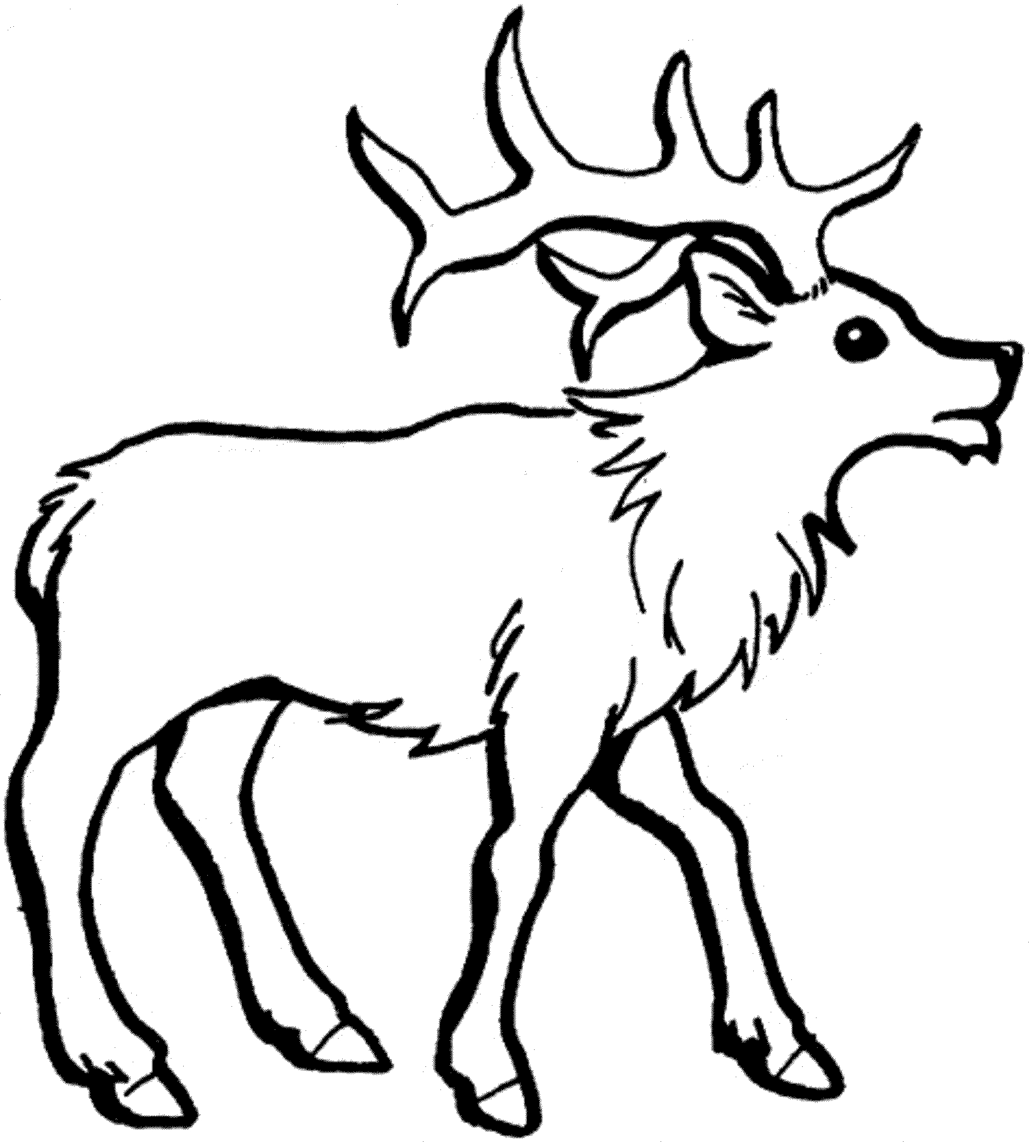 Deer Coloring Pages For Kids At GetColorings Free Printable Colorings Pages To Print And Color