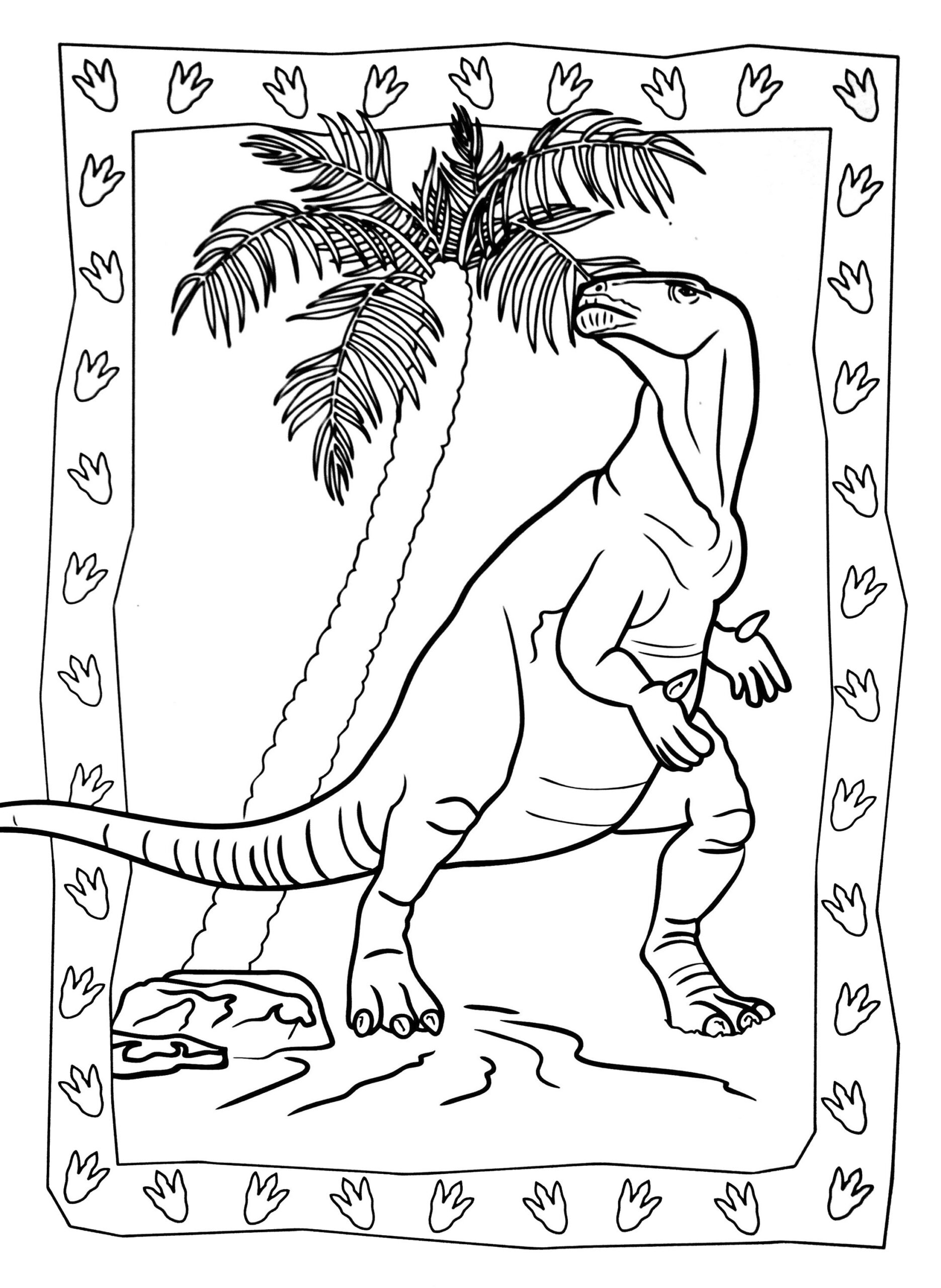 Dinosaur Coloring Page For Kids Dinosaur Coloring Pages For Kids