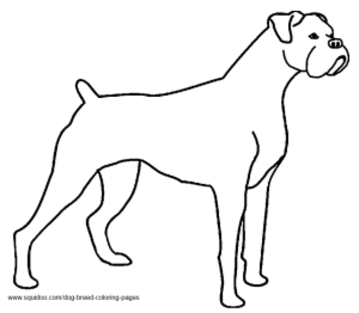 Dog Breed Coloring Pages HubPages