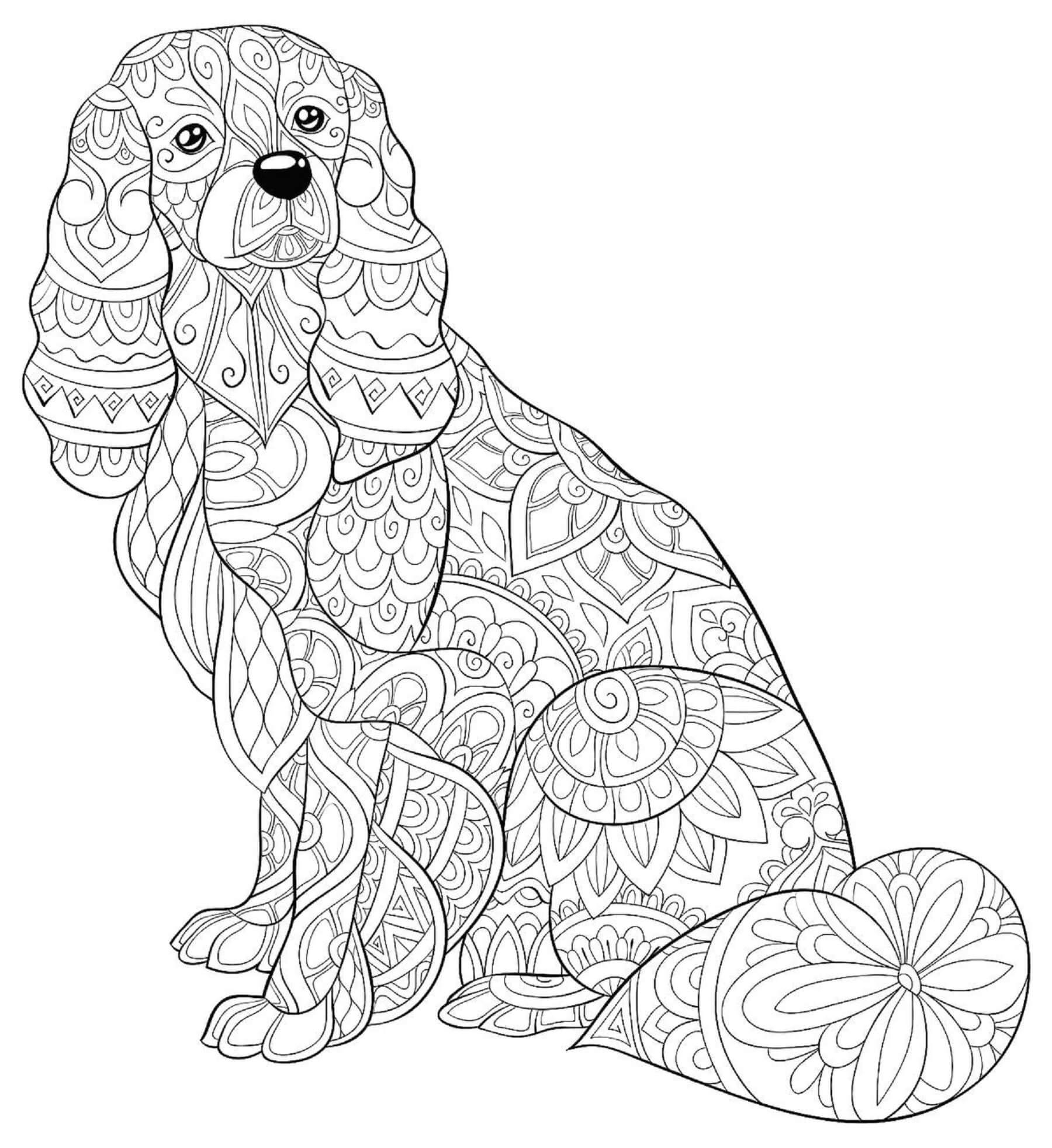 Dog Free Graphics Mandala Coloring Page Download Print Or Color Online For Free