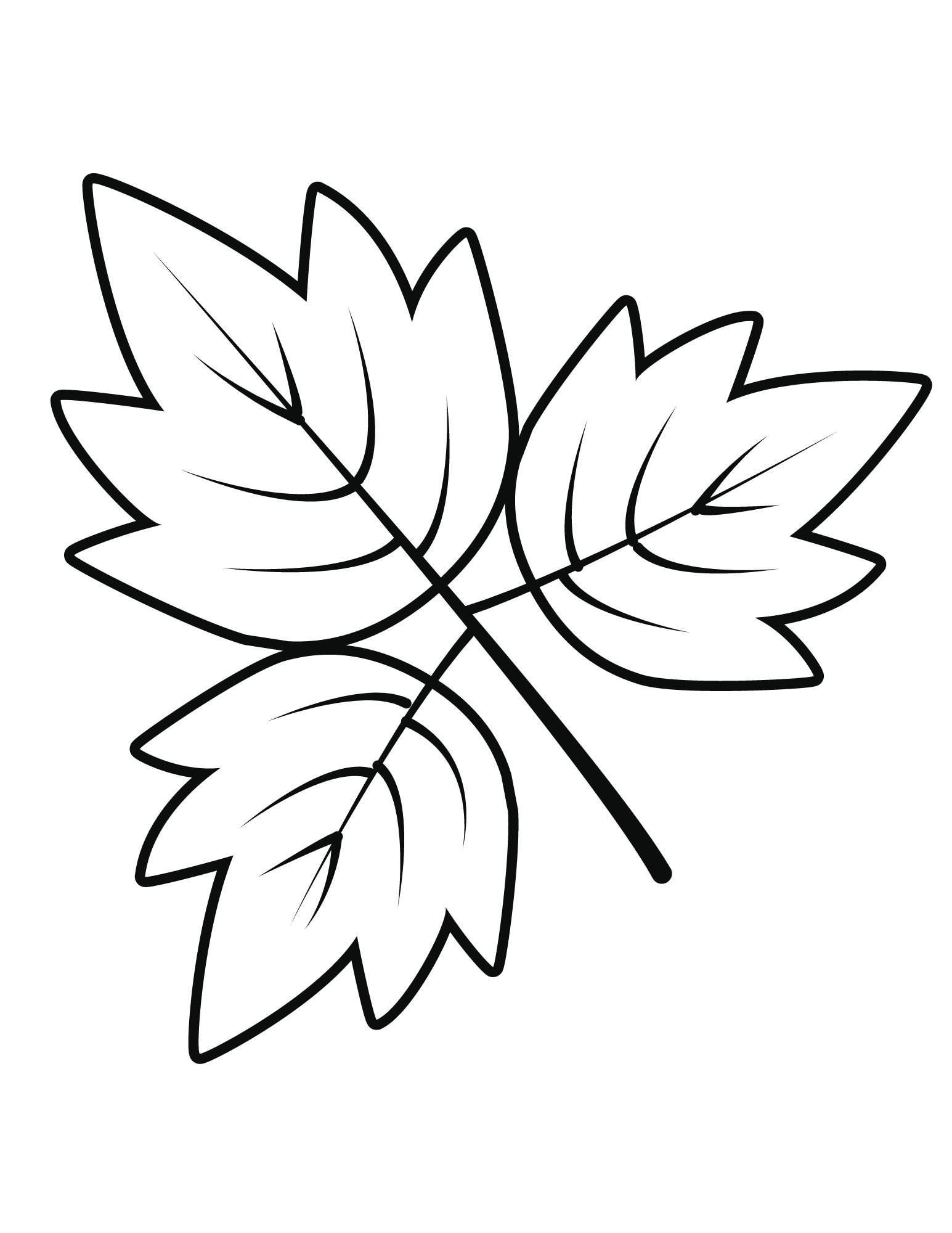 Coloring Pages Leaves