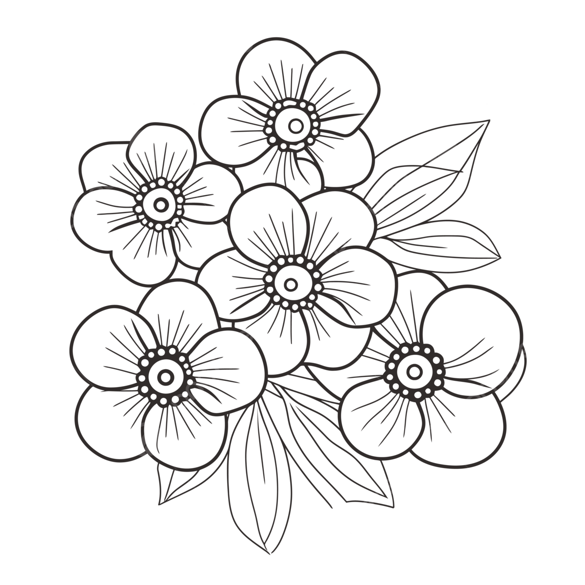 Flower Coloring Pages Printable Best Flower Colouring Outline Sketch Drawing Vector Flower