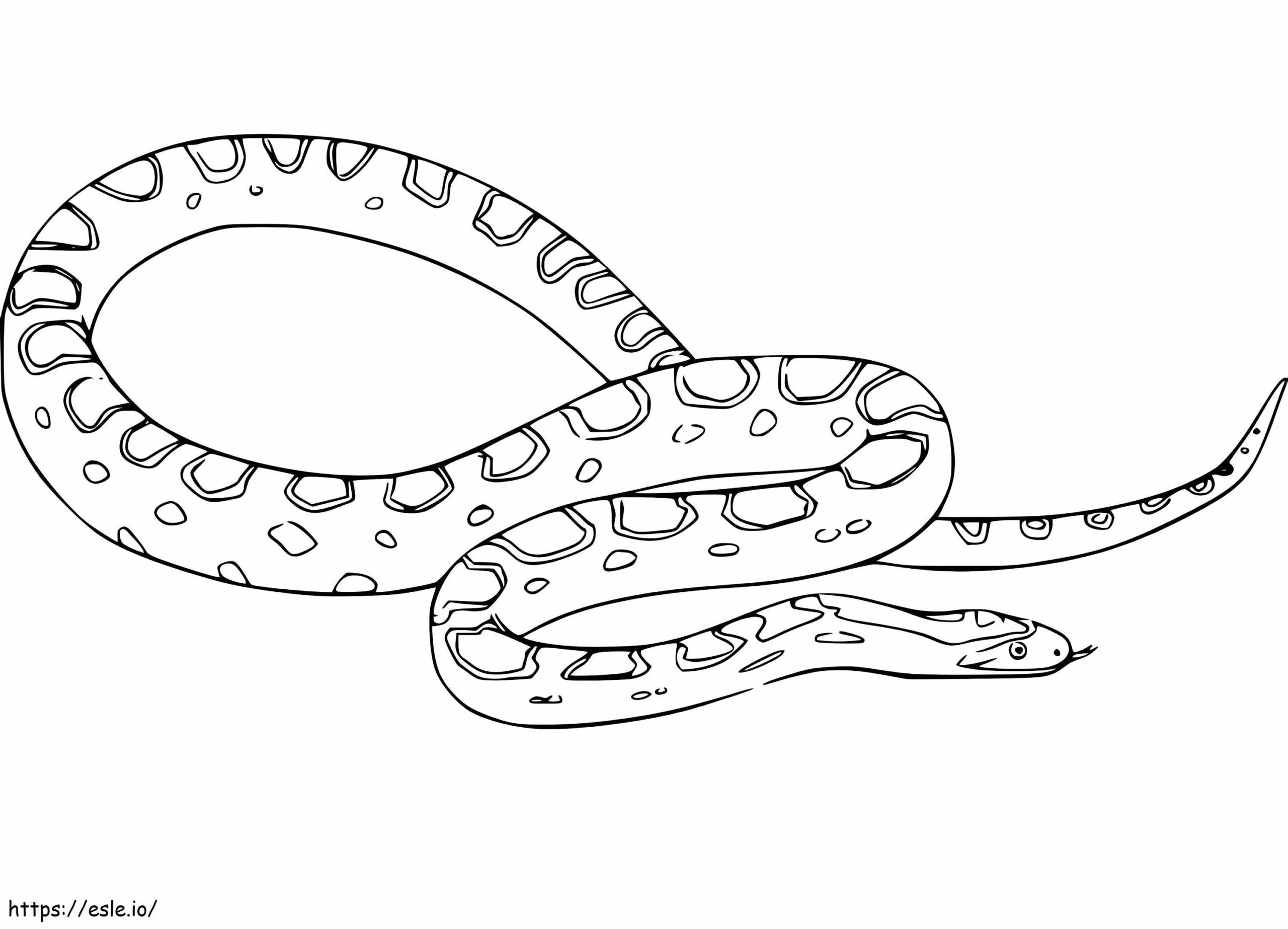 Anaconda Coloring Page