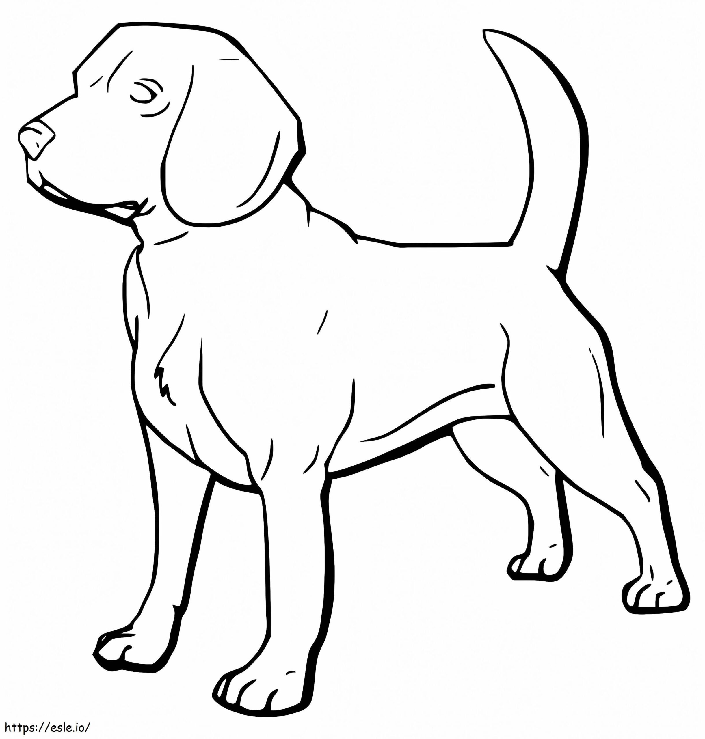 Beagle Puppy Coloring Pages