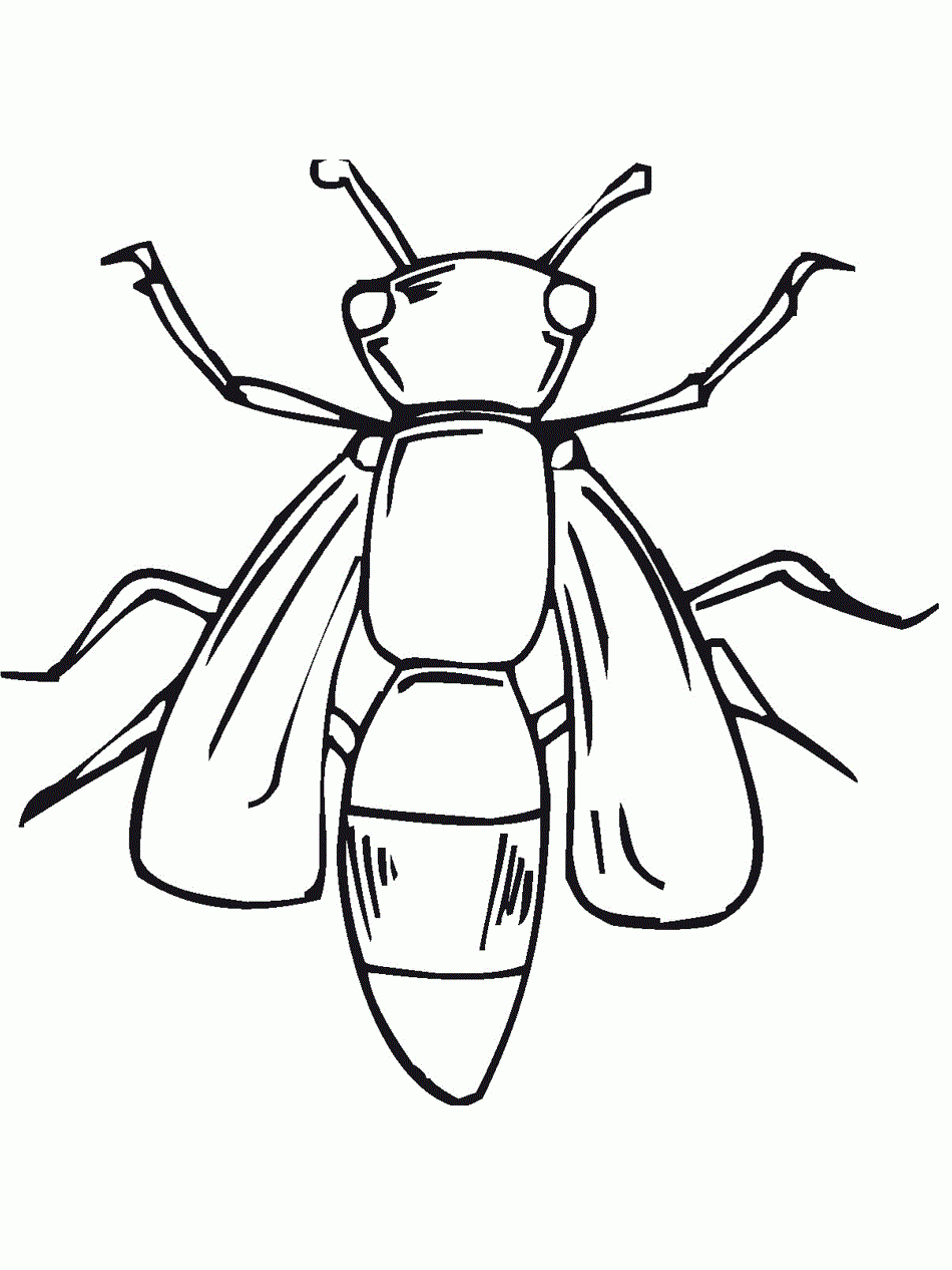 Free Printable Bug Coloring Pages For Kids
