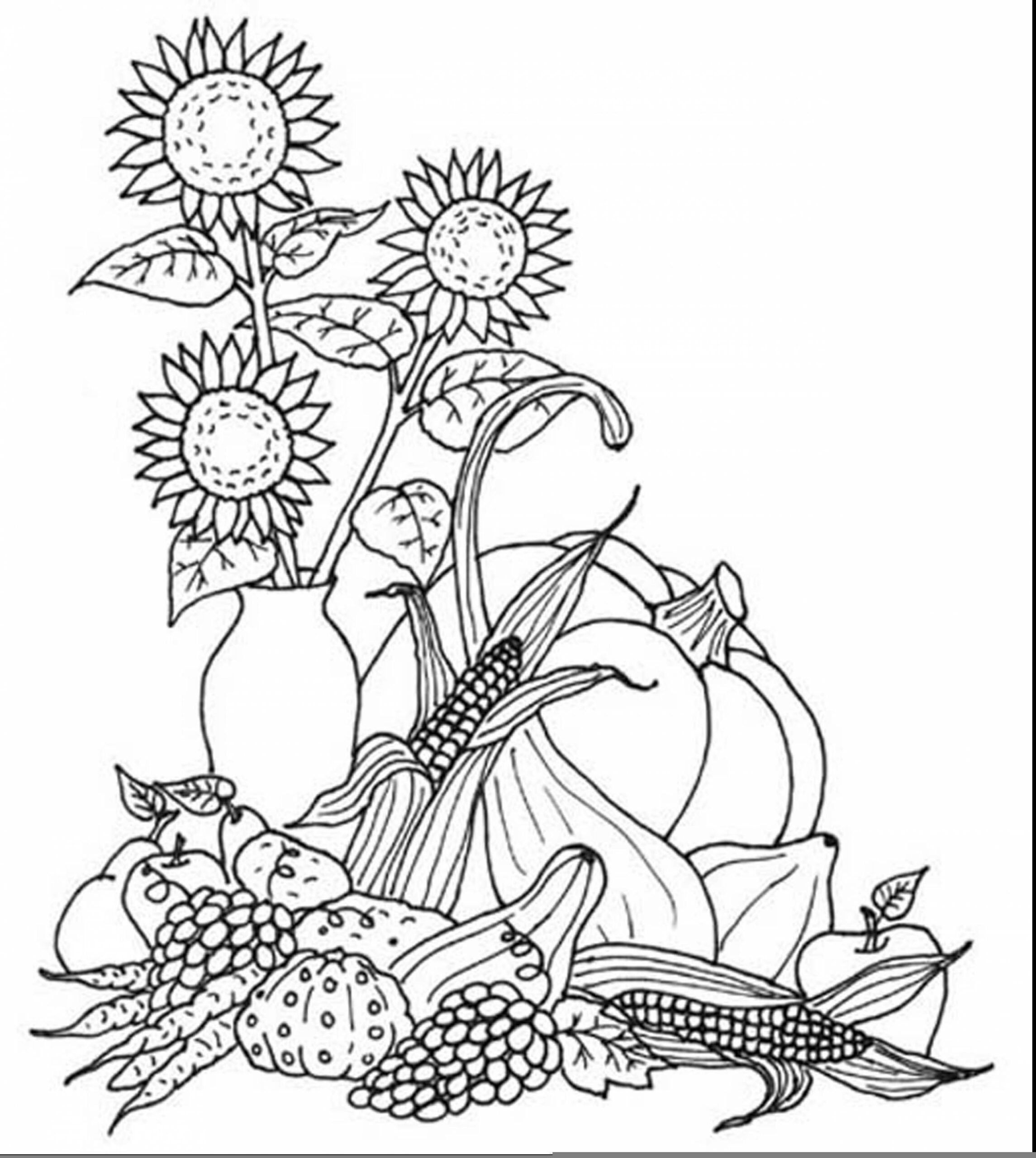Free Printable Fall Harvest Coloring Pages Free Printable