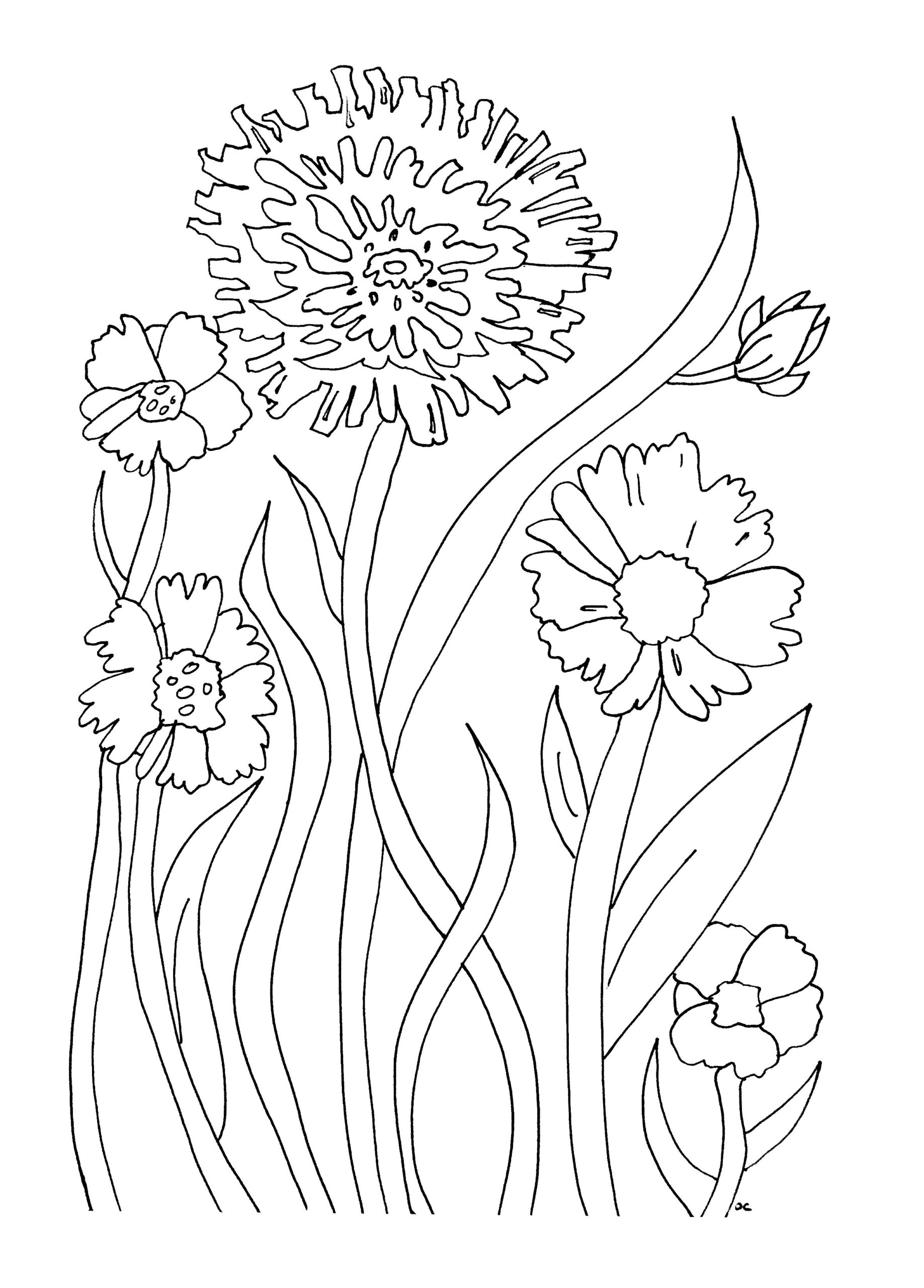 Free Printable Flower Coloring Pages For Kids Best Coloring Pages For Kids