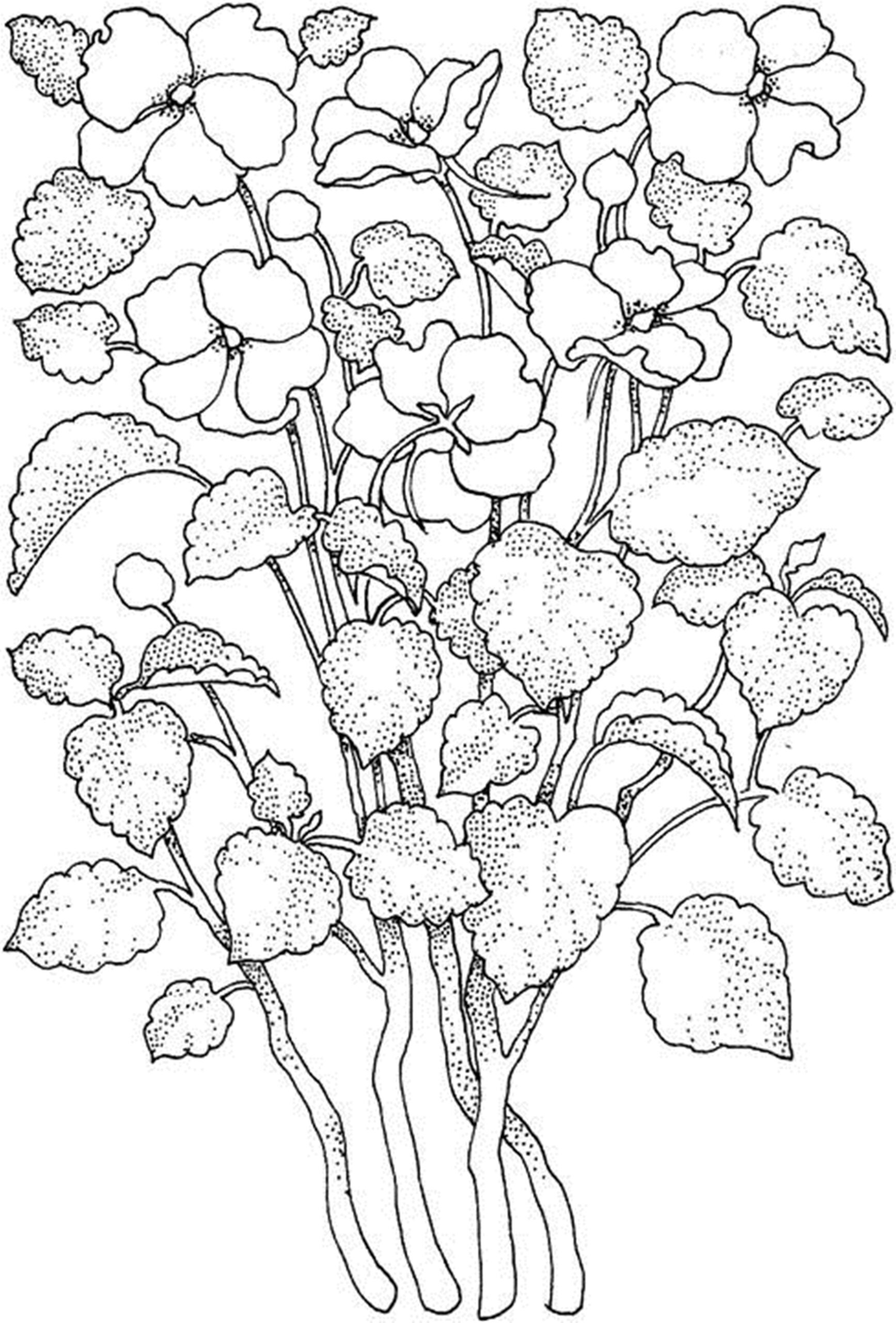 Free Printable Flower Coloring Pages For Kids Best Coloring Pages For Kids