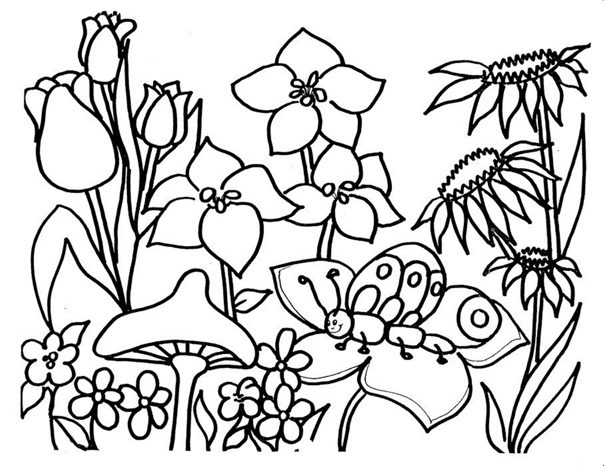 Free Coloring Pages Of Flowers