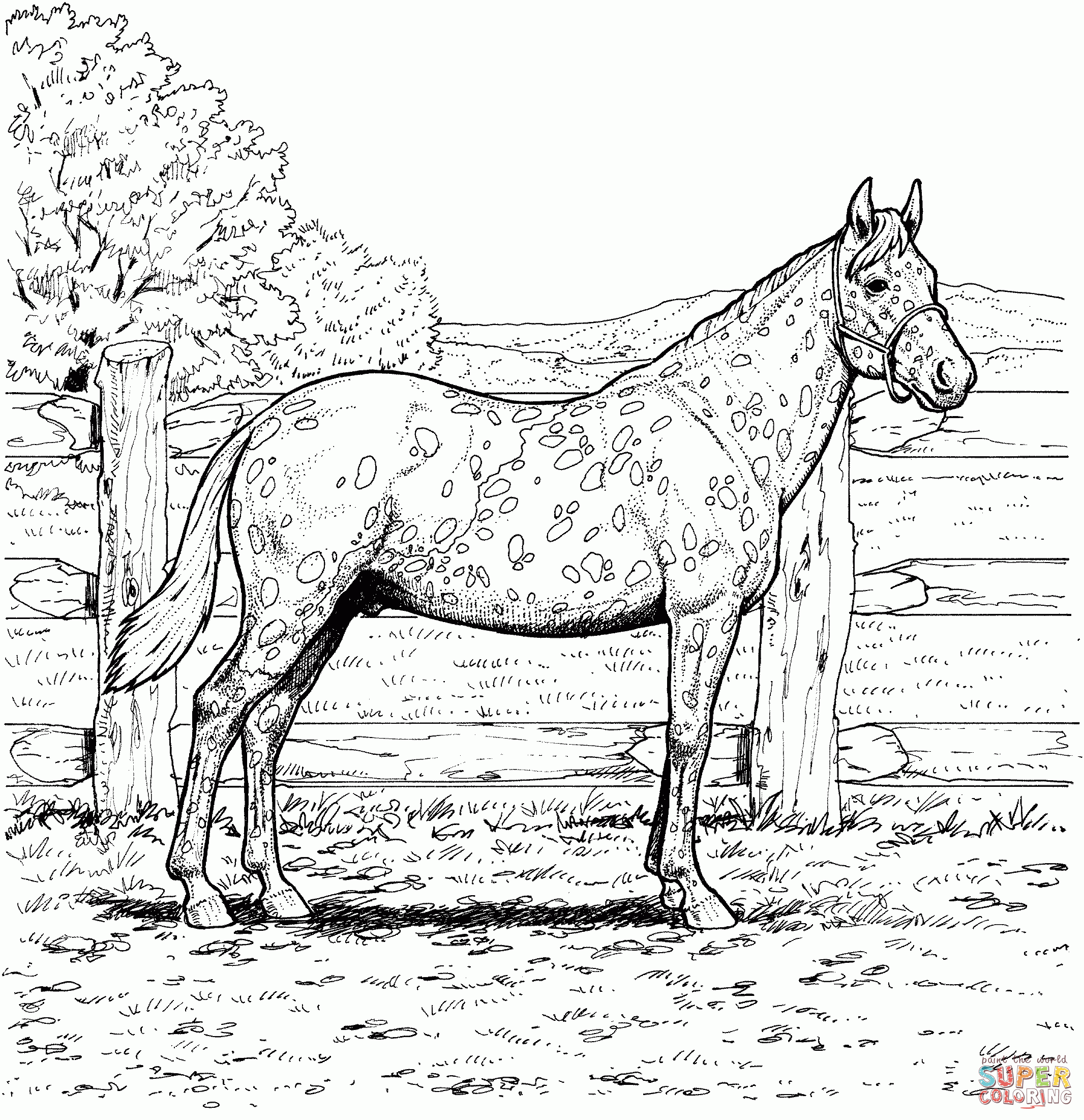 Coloring Pages Of Realistic Horses