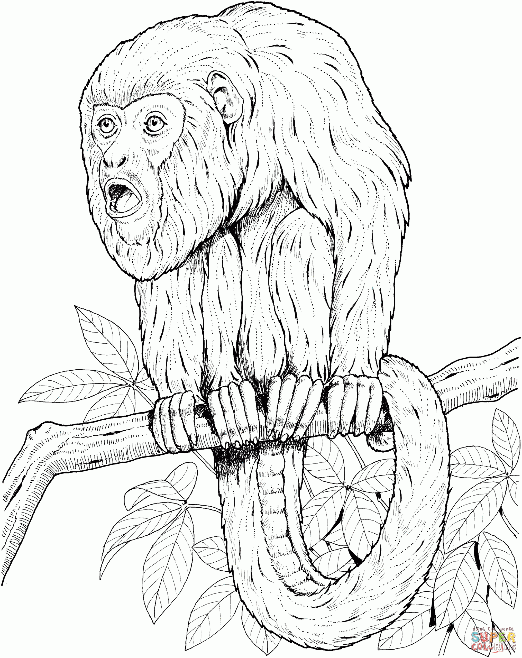 Monkeys Coloring Pages
