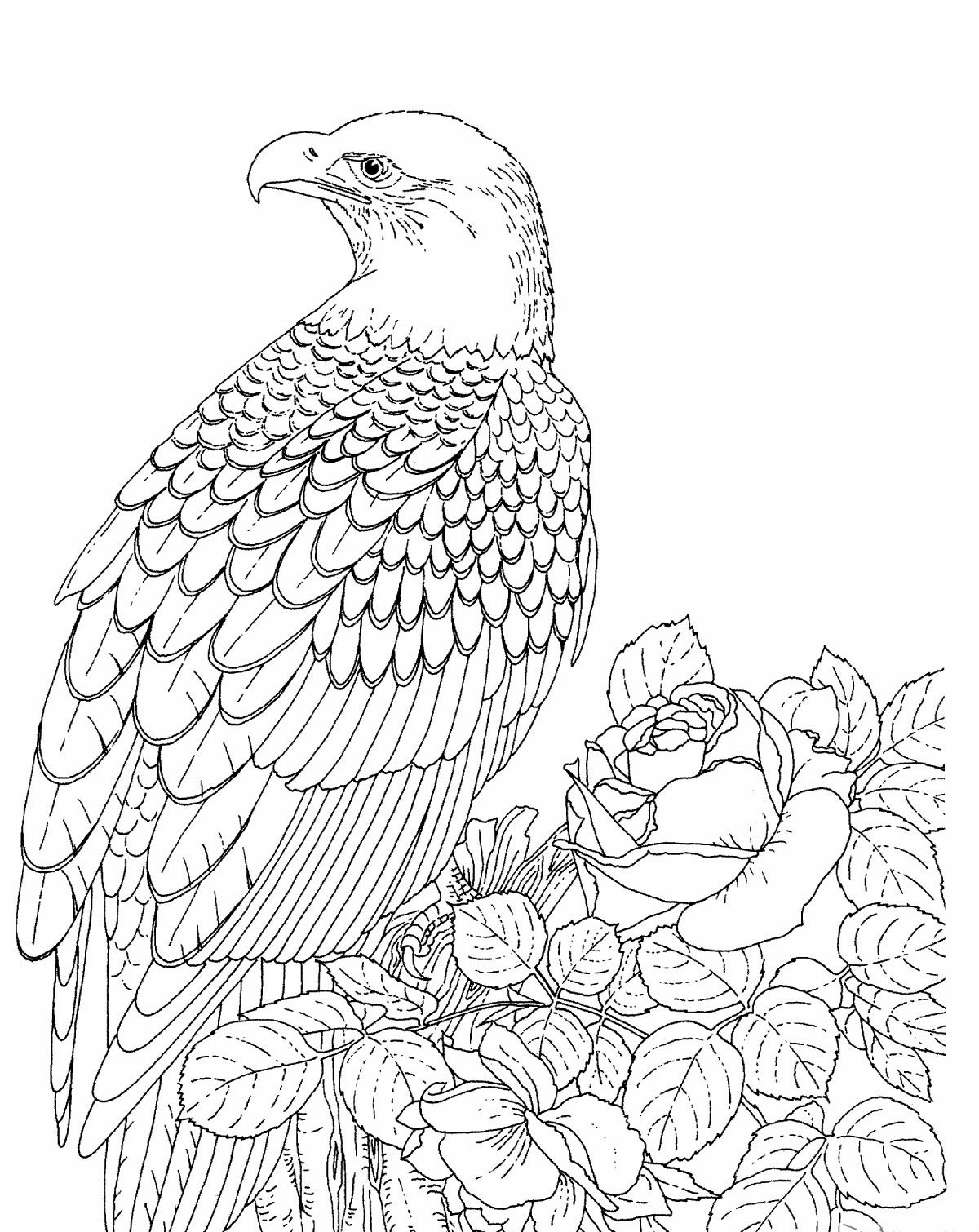 Gambar Free Printable Bald Eagle Coloring Pages Kids Patriotic Di Rebanas Rebanas