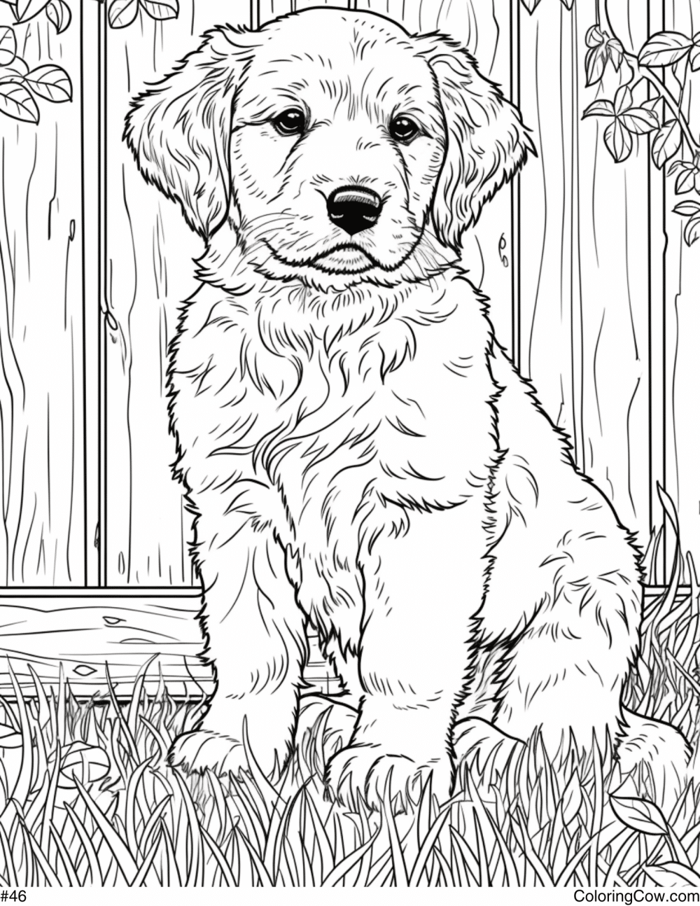 Golden Retriever Puppy Coloring Pages