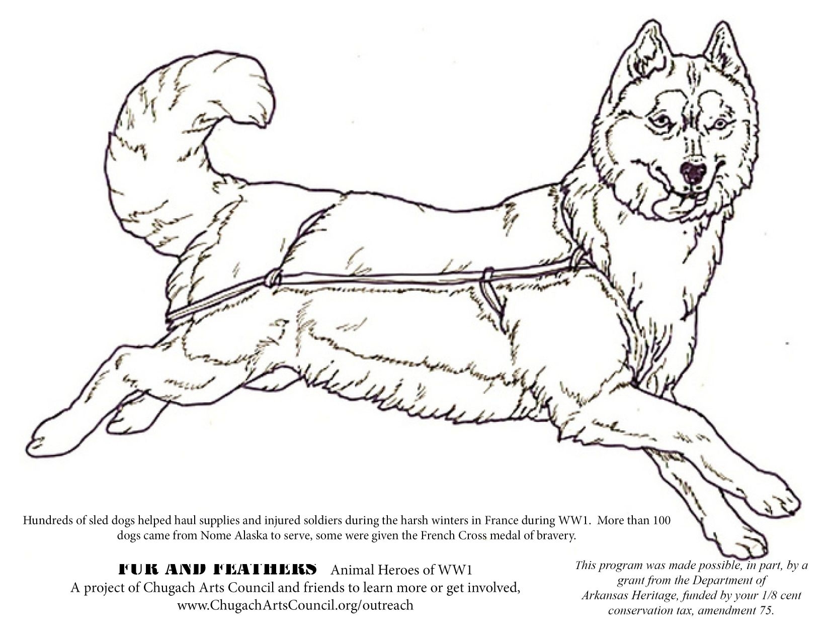 Realistic Husky Coloring Pages