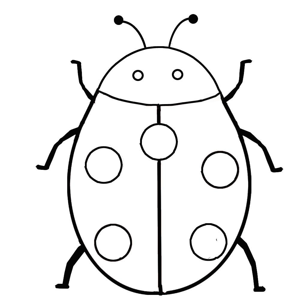 Insect Coloring Pages Best Coloring Pages For Kids