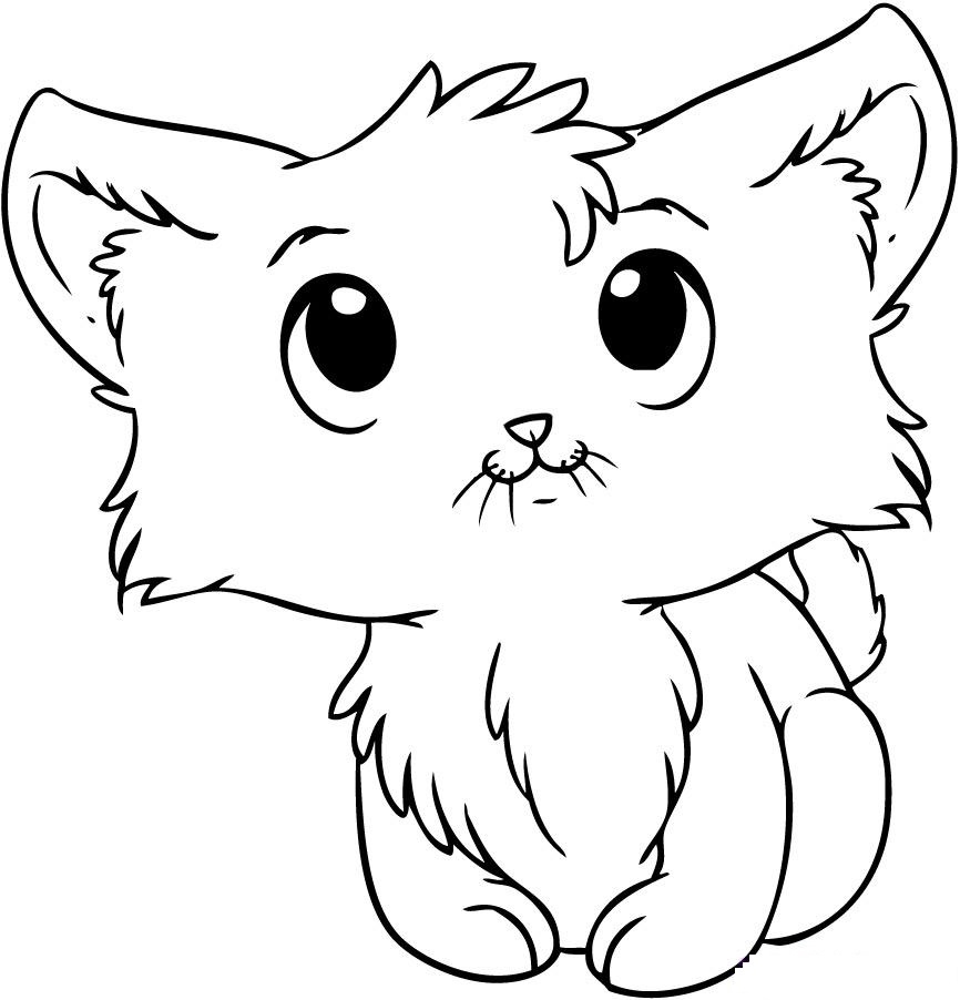 Kitten Cat Coloring Pages