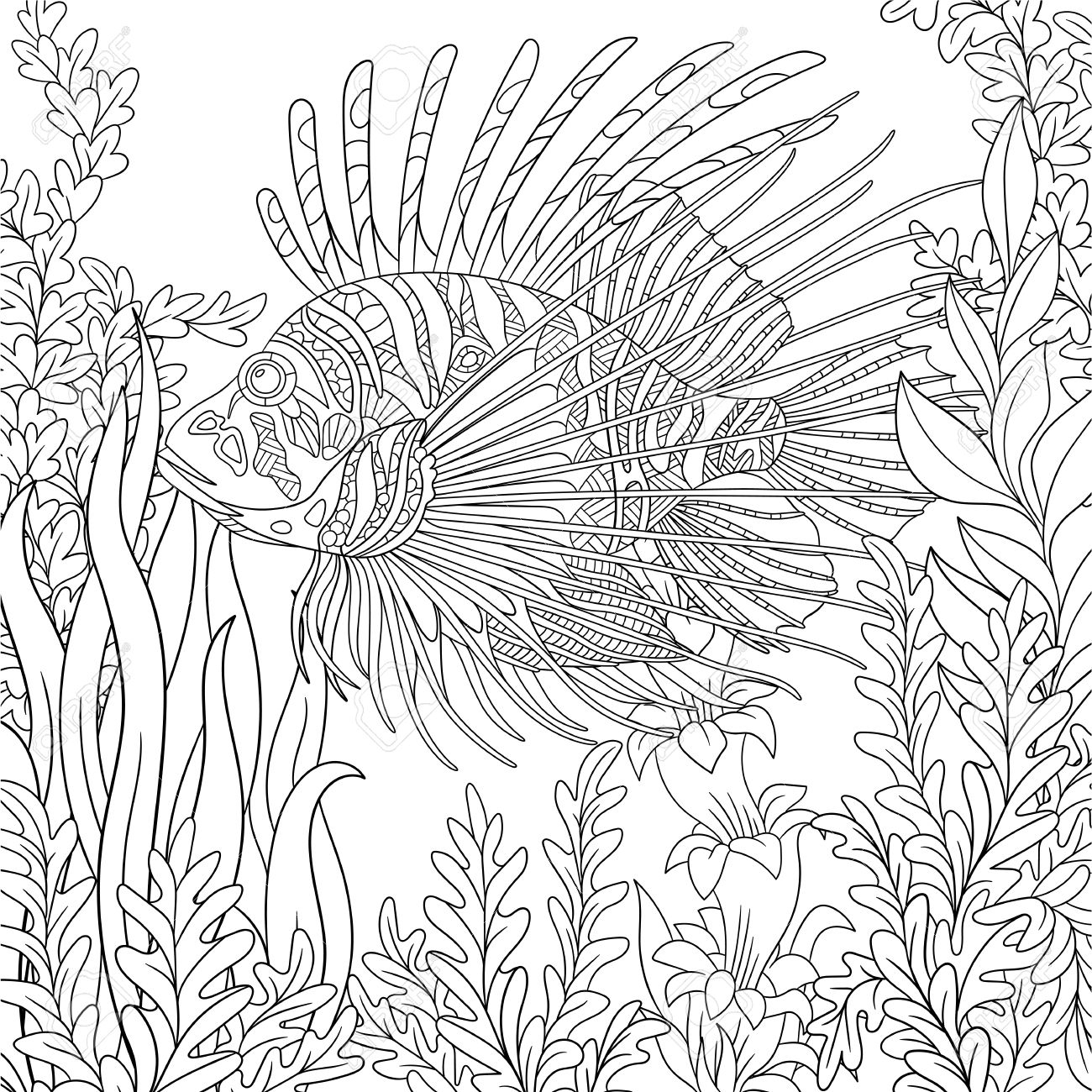 Lionfish Coloring Page At GetColorings Free Printable Colorings Pages To Print And Color
