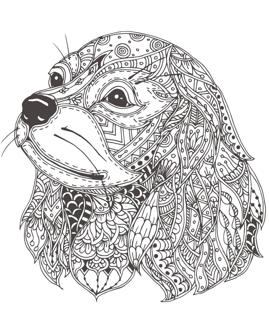 Mandala Dogs Coloring Book Relaxing Cute Ornamental Dog Breeds Rachel Mintz Coloring Books