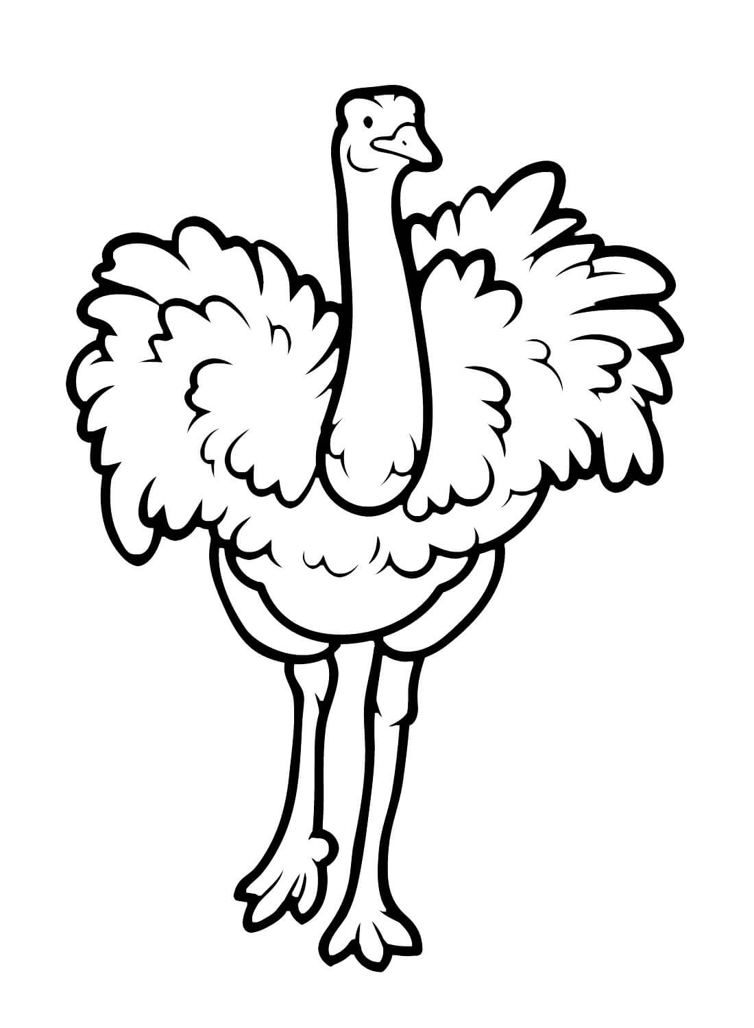 Ostrich Coloring Page