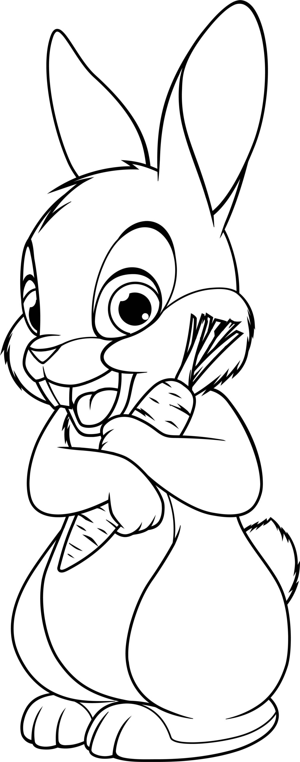 Pin On Coloring