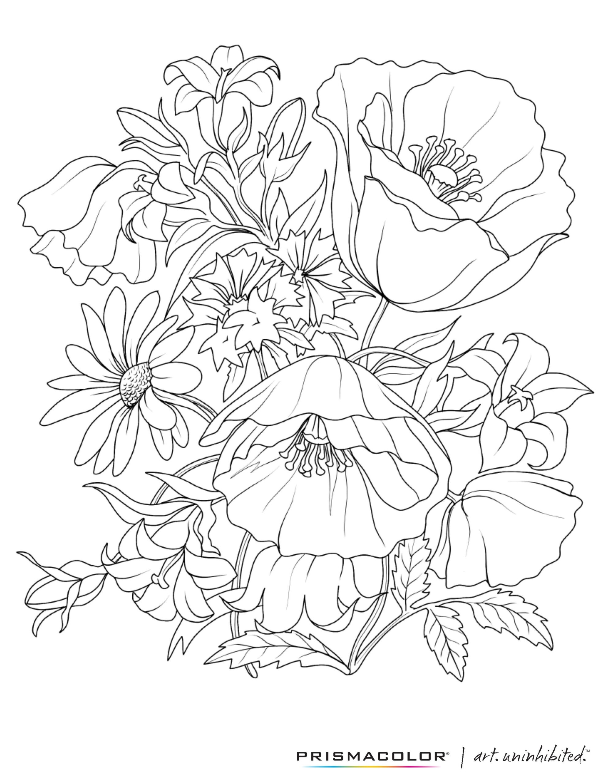 Free Floral Coloring Pages