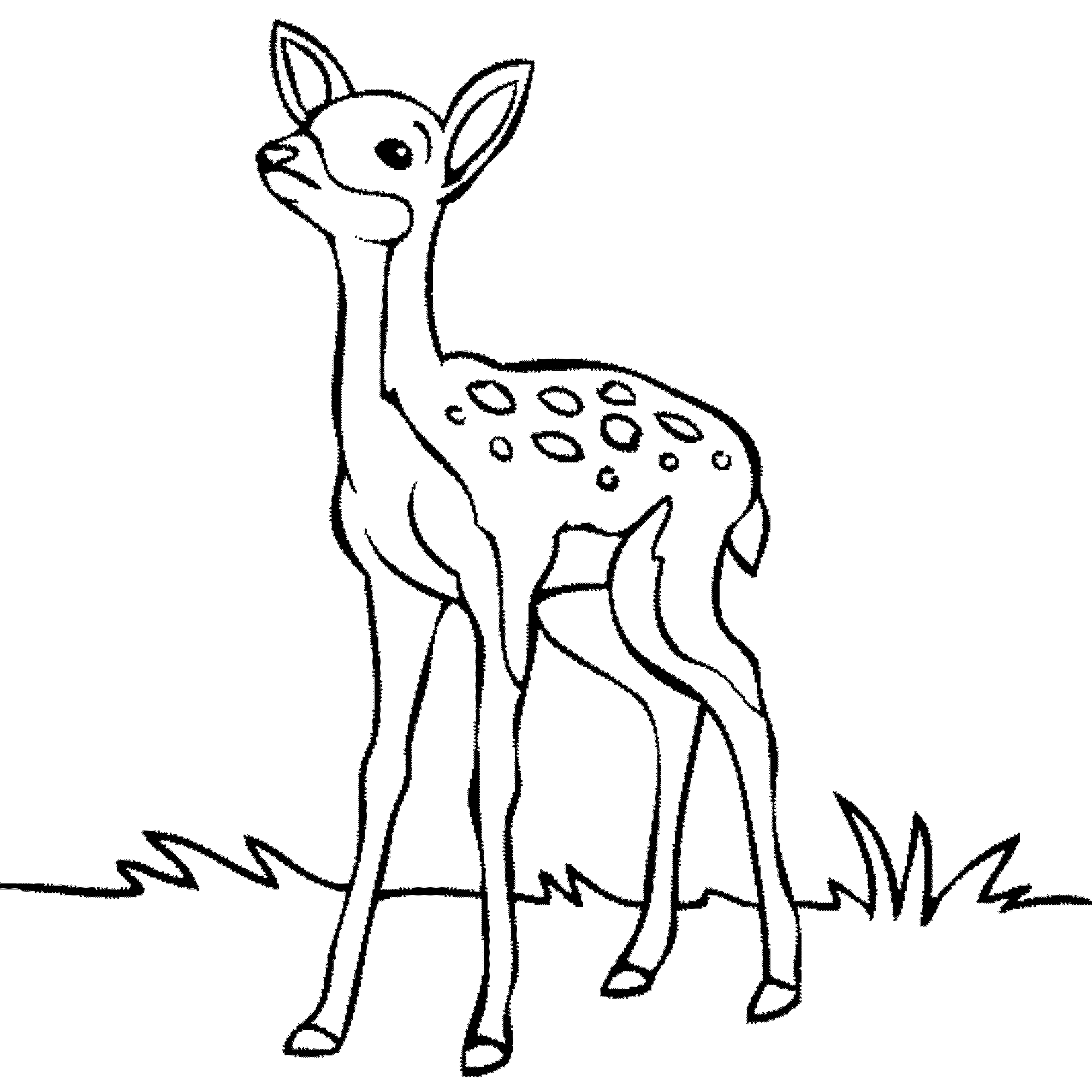 Print Download Deer Coloring Pages For Totally Enjoyable Leisure Time Activity
