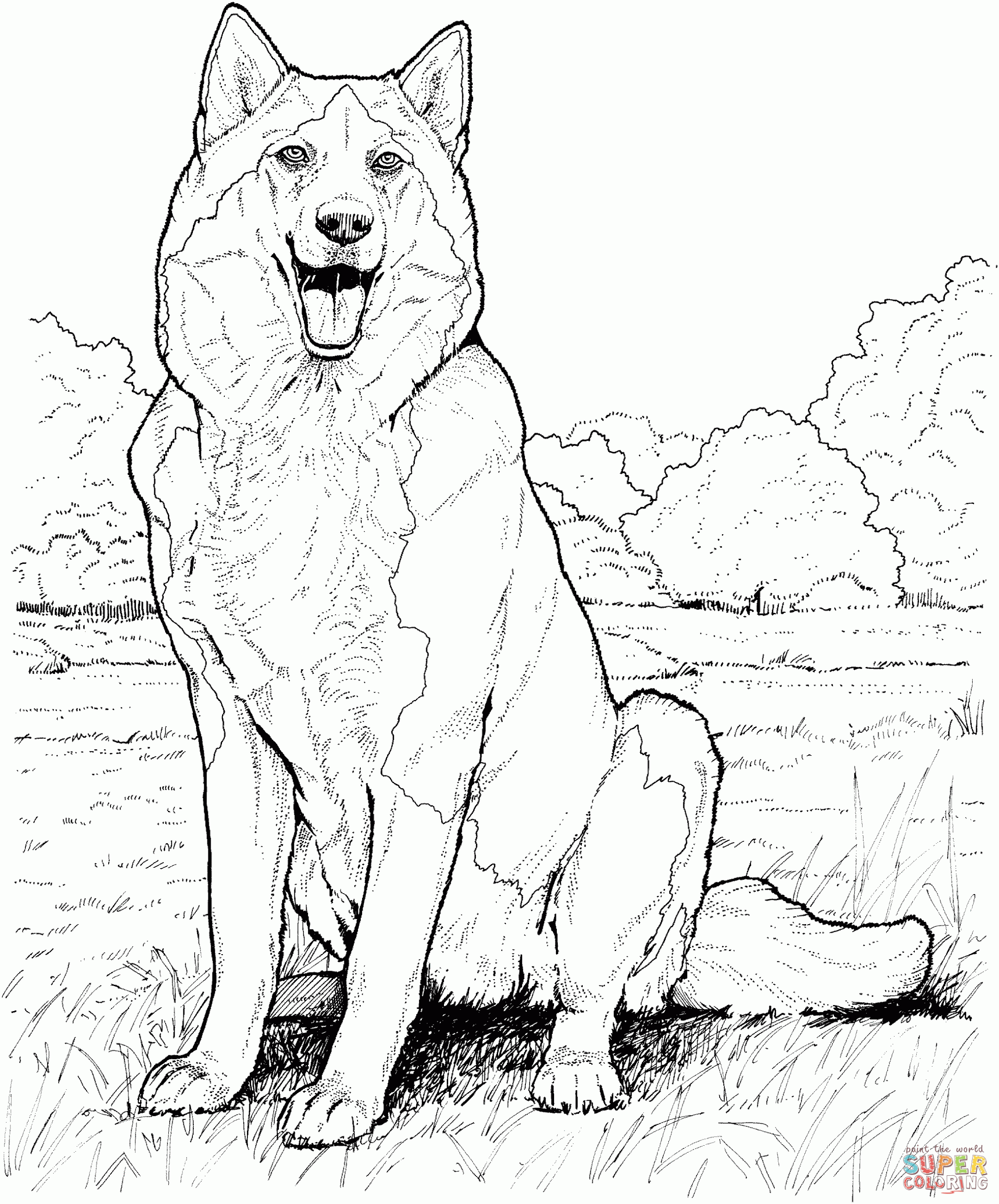 Printable Husky Coloring Pages