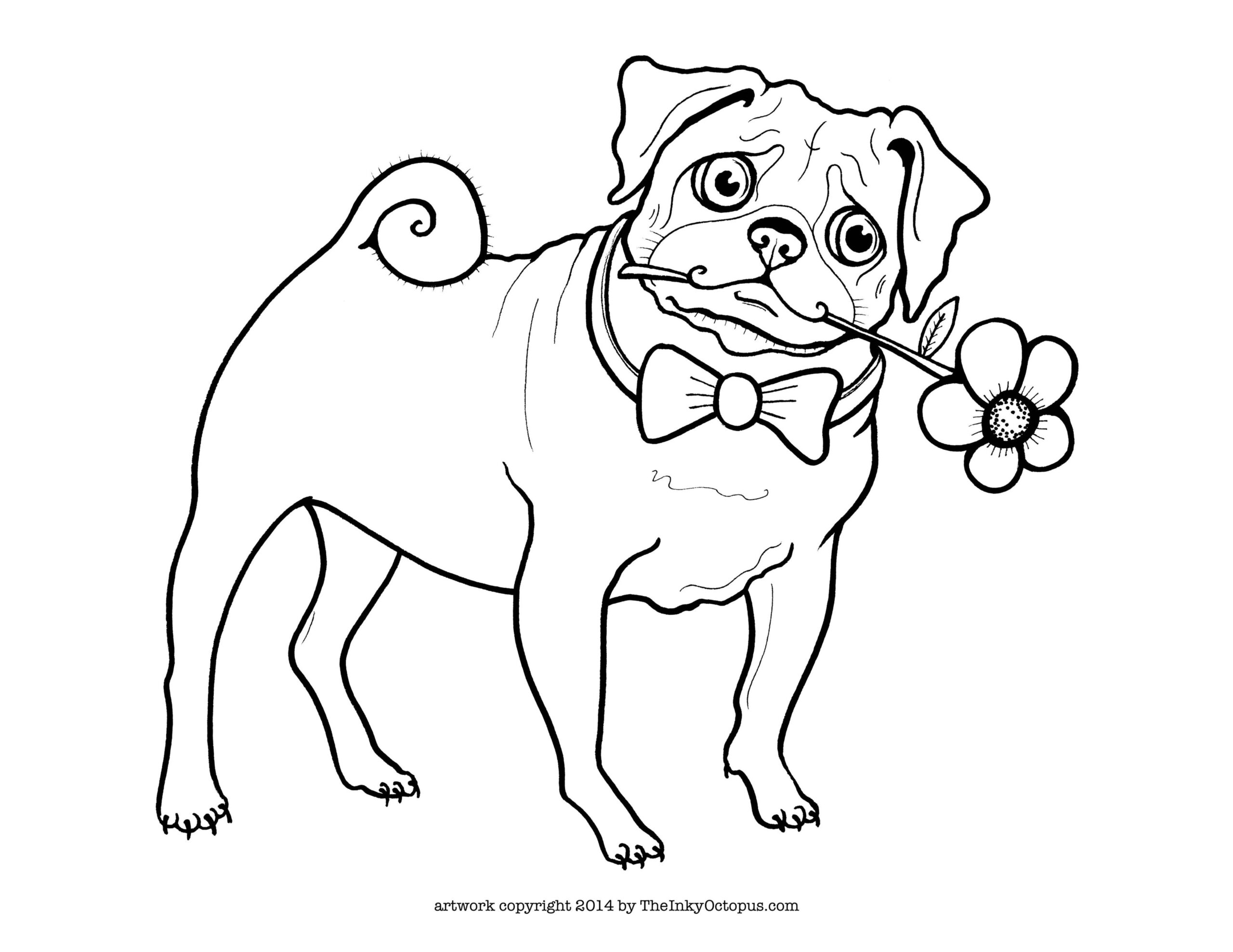 Coloring Pages Pugs