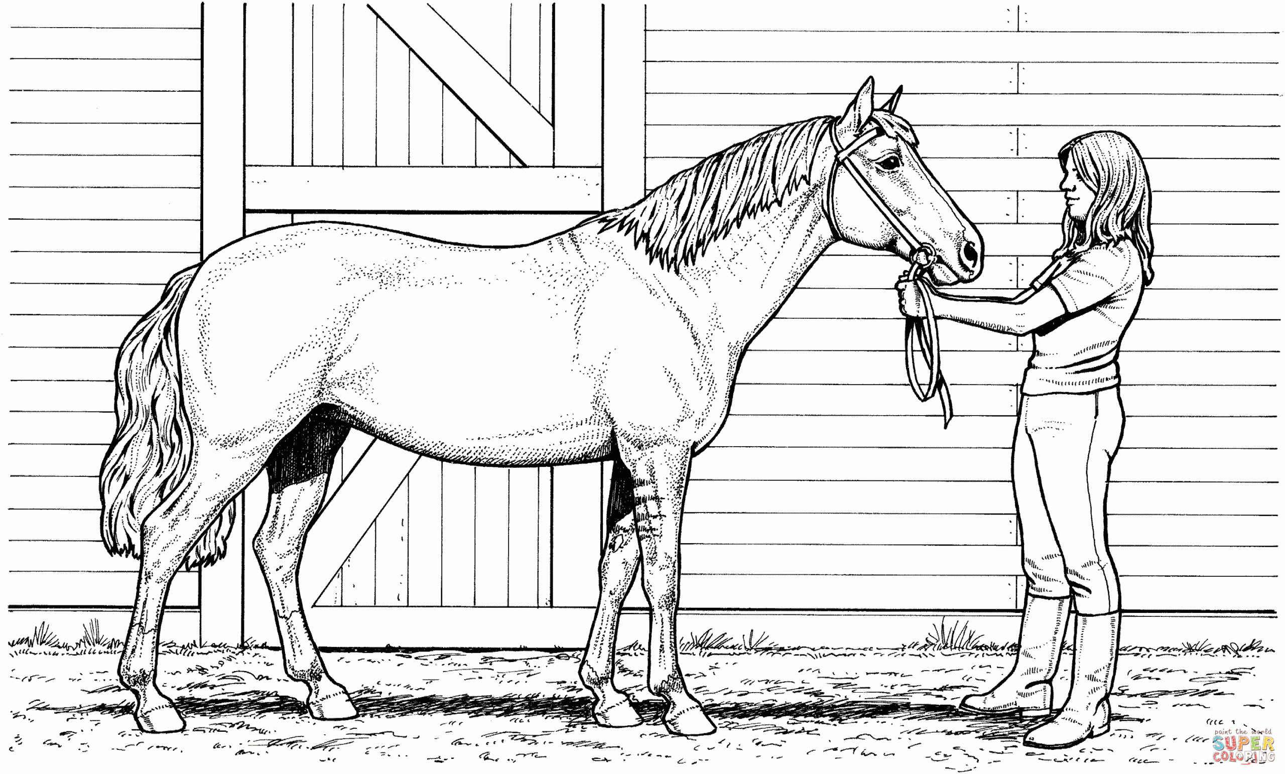 Printable Realistic Horse Coloring Page Horse Coloring Books Horse Coloring Pages Horse Coloring