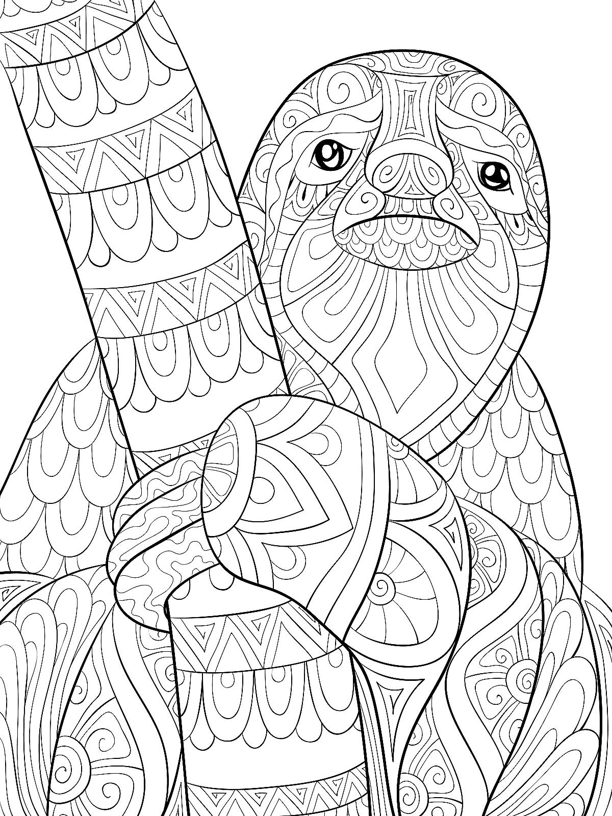 Printable Sloth Coloring Pages