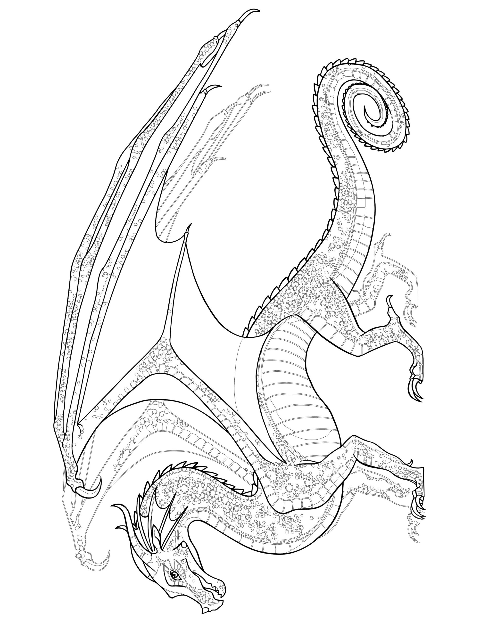 RainWing Dragon Coloring Page TransparentRAINWING Dragon Coloring Page Transparent Wings Of Fire