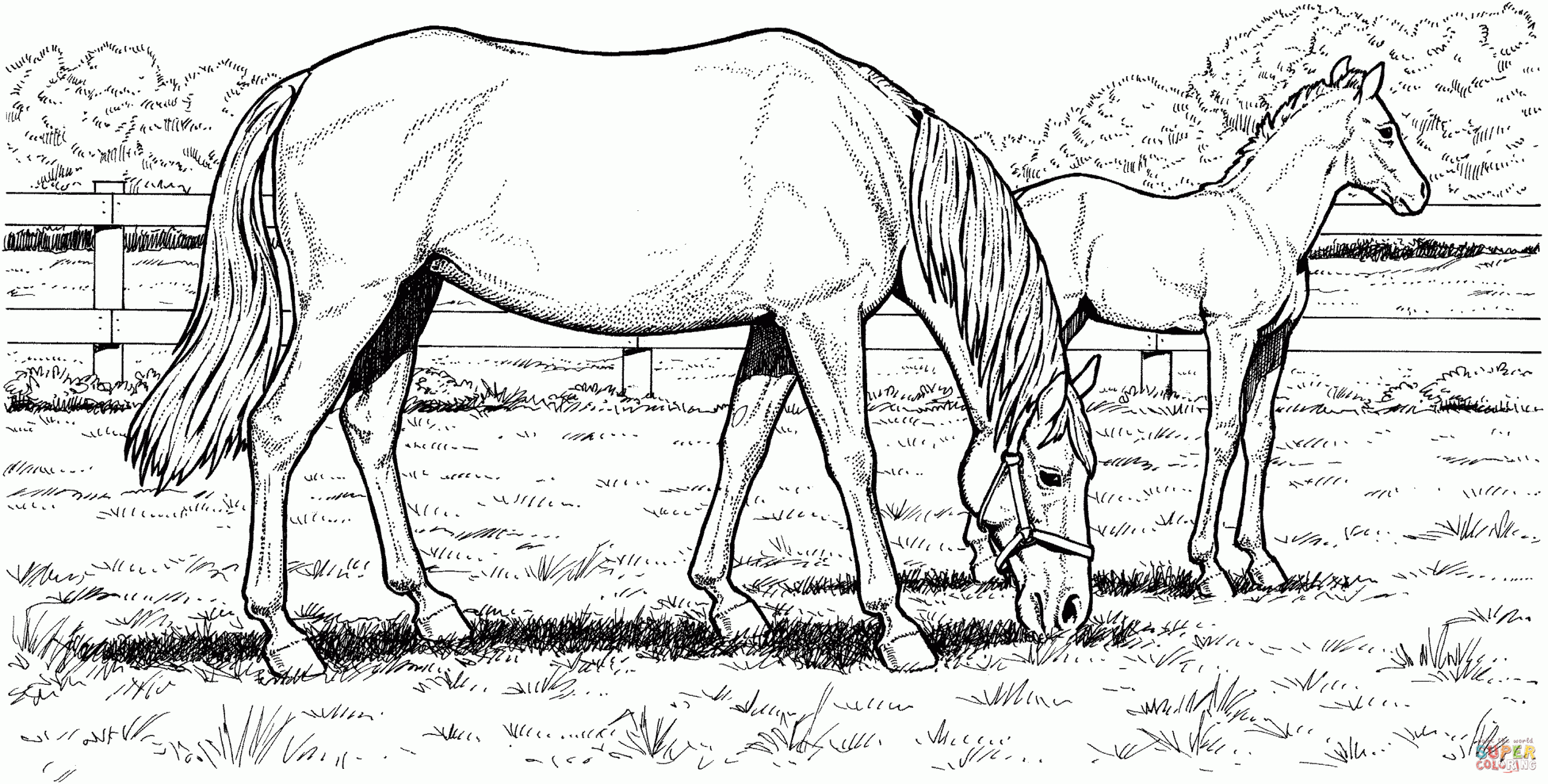 Realistic Horse Coloring Pages To Download And Print For Free