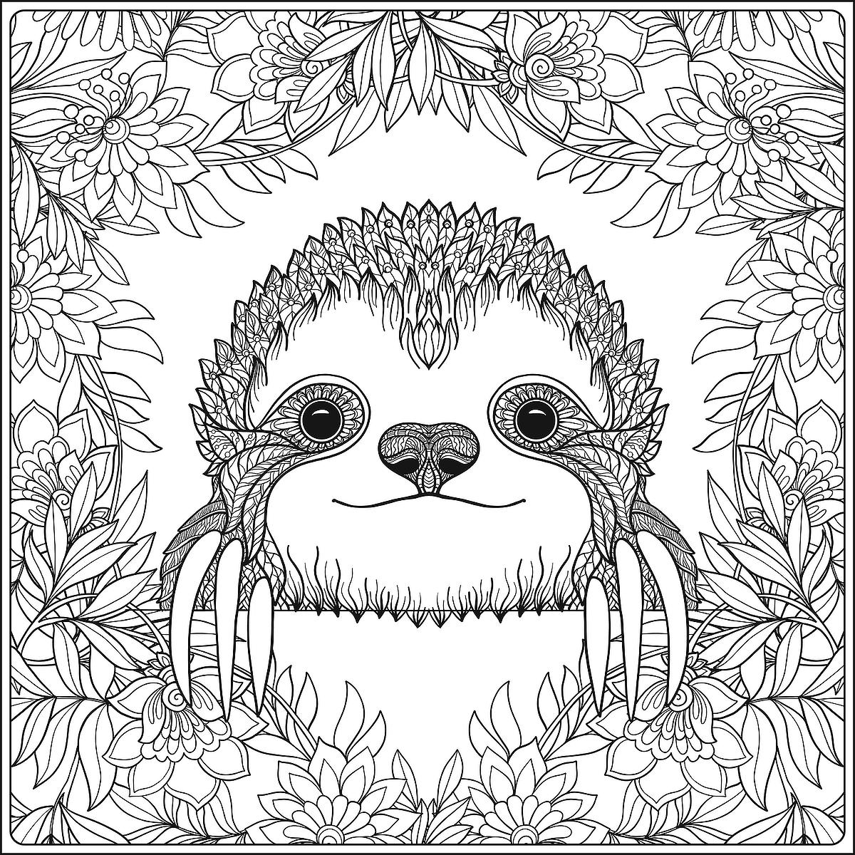Sloth Coloring Pages Free Printable Coloring Pages Of Sloths To Help Kids Adults Chill Out