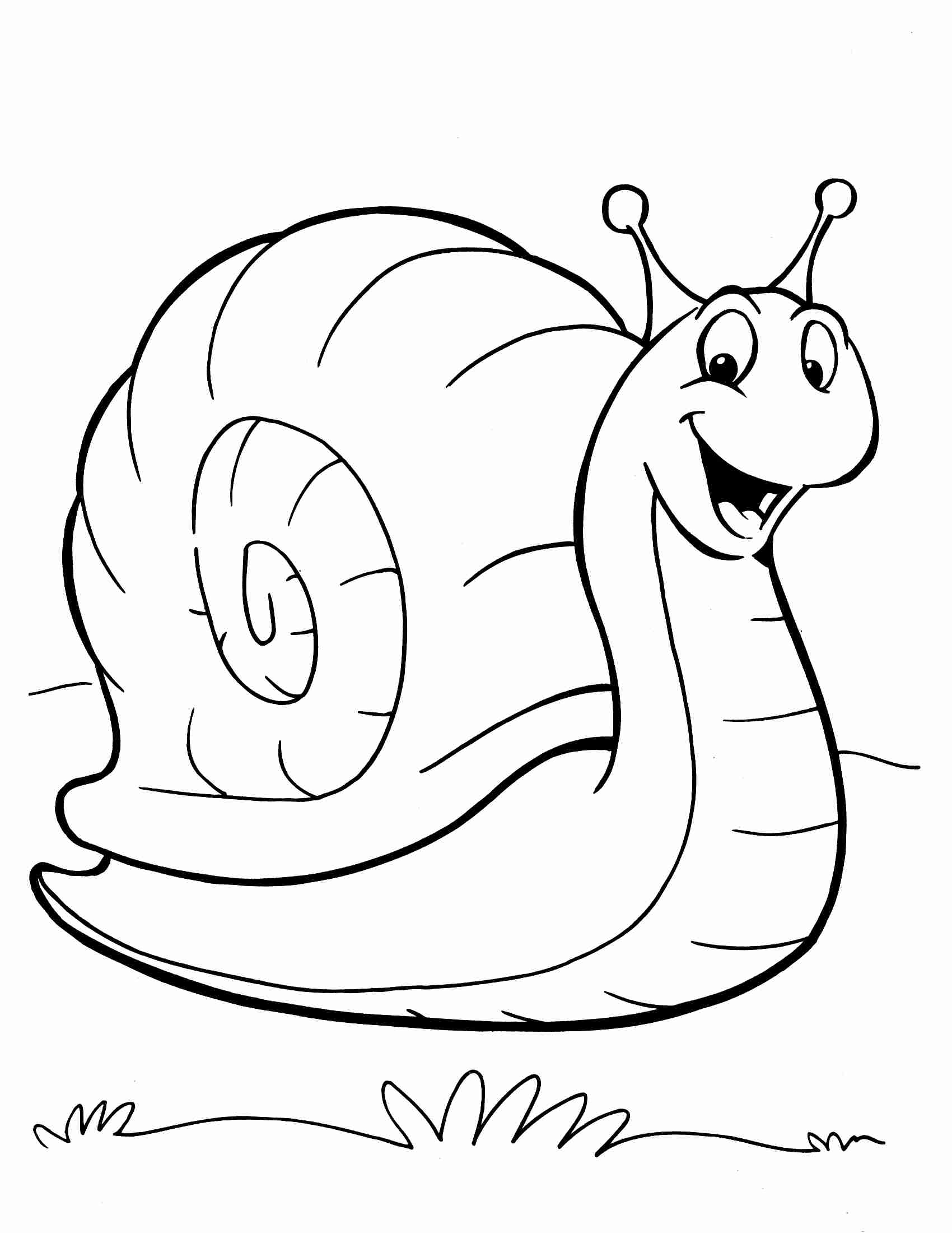 Snail Coloring Page At GetColorings Free Printable Colorings Pages To Print And Color