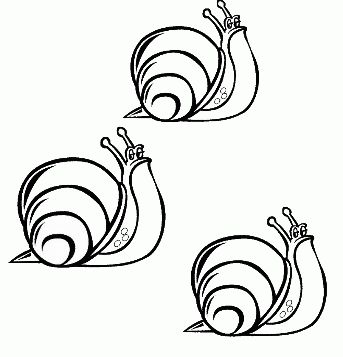 Snail Coloring Page
